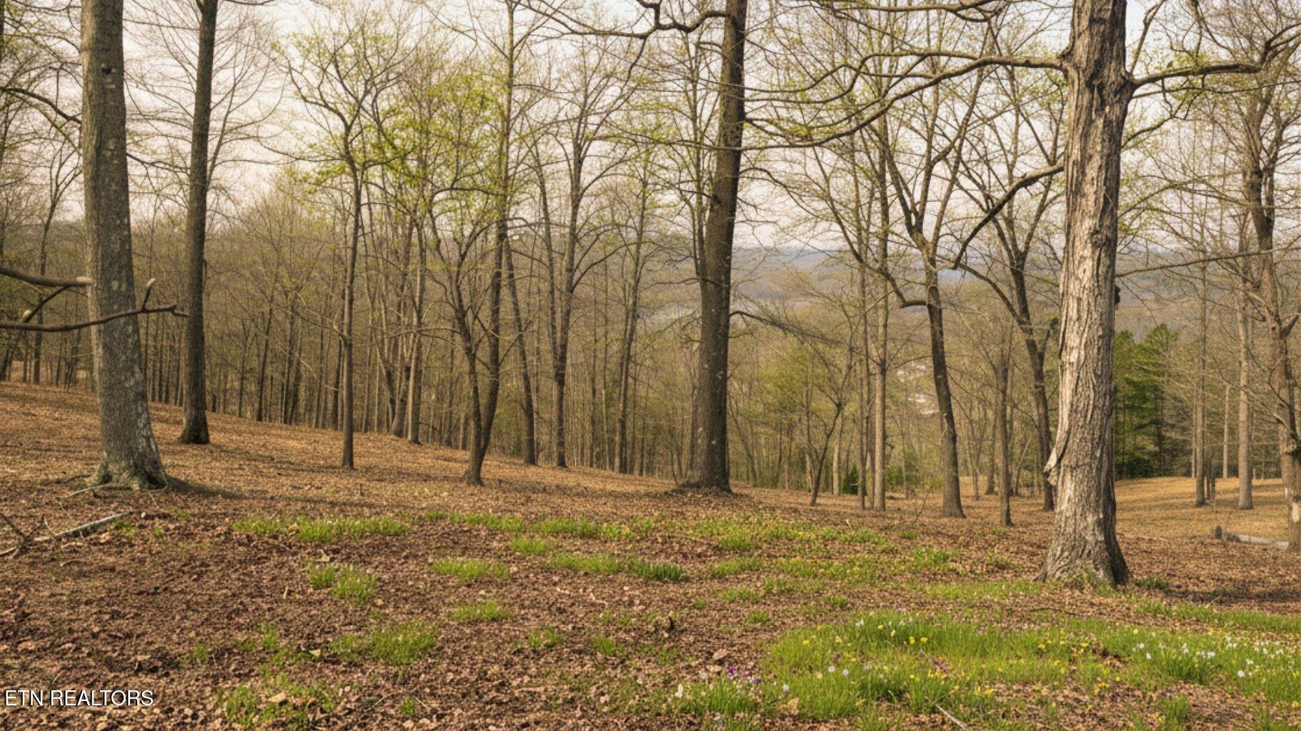 Deer Creek Path, Lafollette, TN - Norris Lake Real Estate - Image# 5