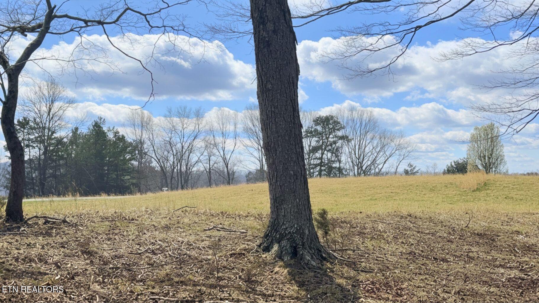 Deer Creek Path, Lafollette, TN - Norris Lake Real Estate - Image# 4
