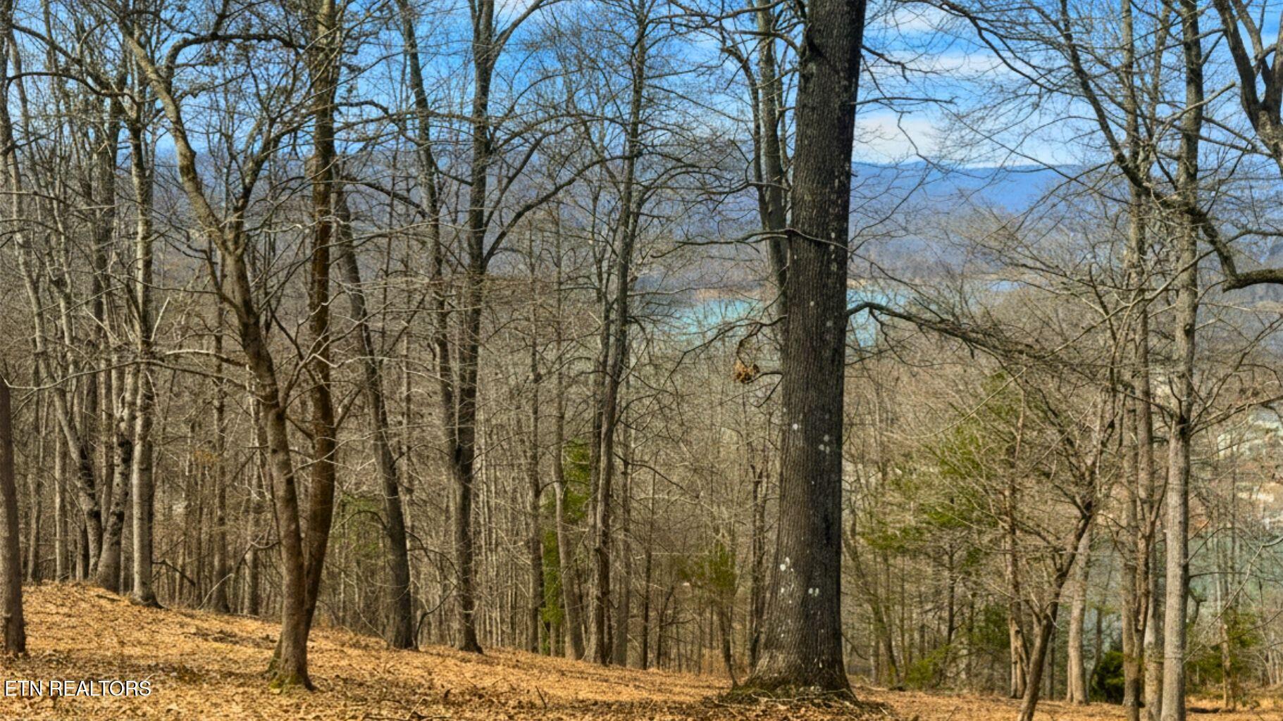 Deer Creek Path, Lafollette, TN - Norris Lake Real Estate - Image# 14