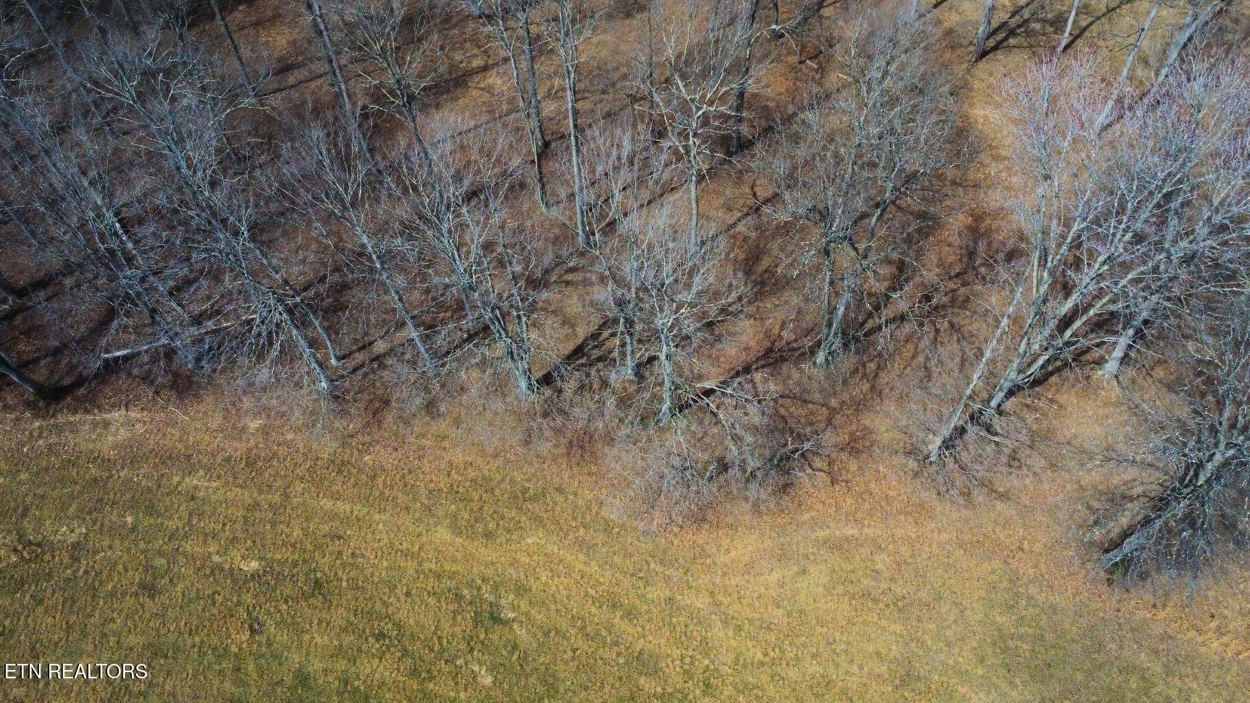 Deer Creek Path, Lafollette, TN - Norris Lake Real Estate - Image# 20