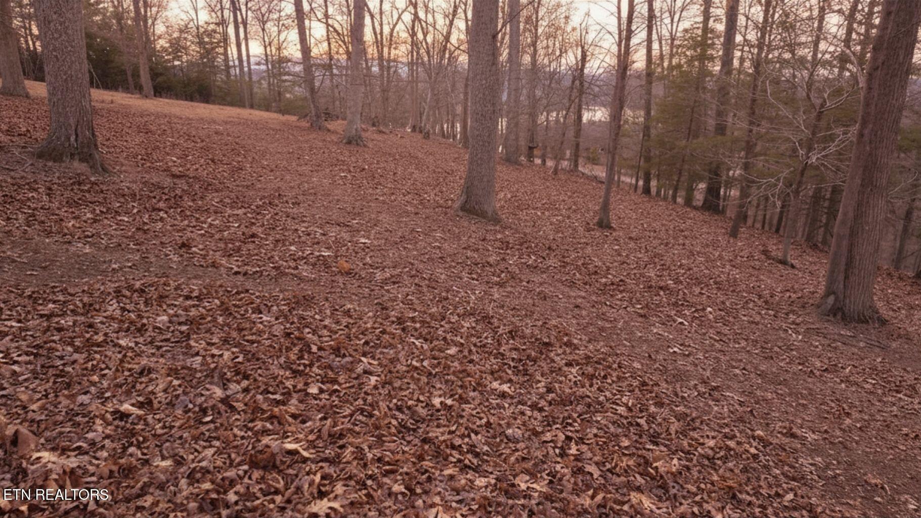 Deer Creek Path, Lafollette, TN - Norris Lake Real Estate - Image# 10