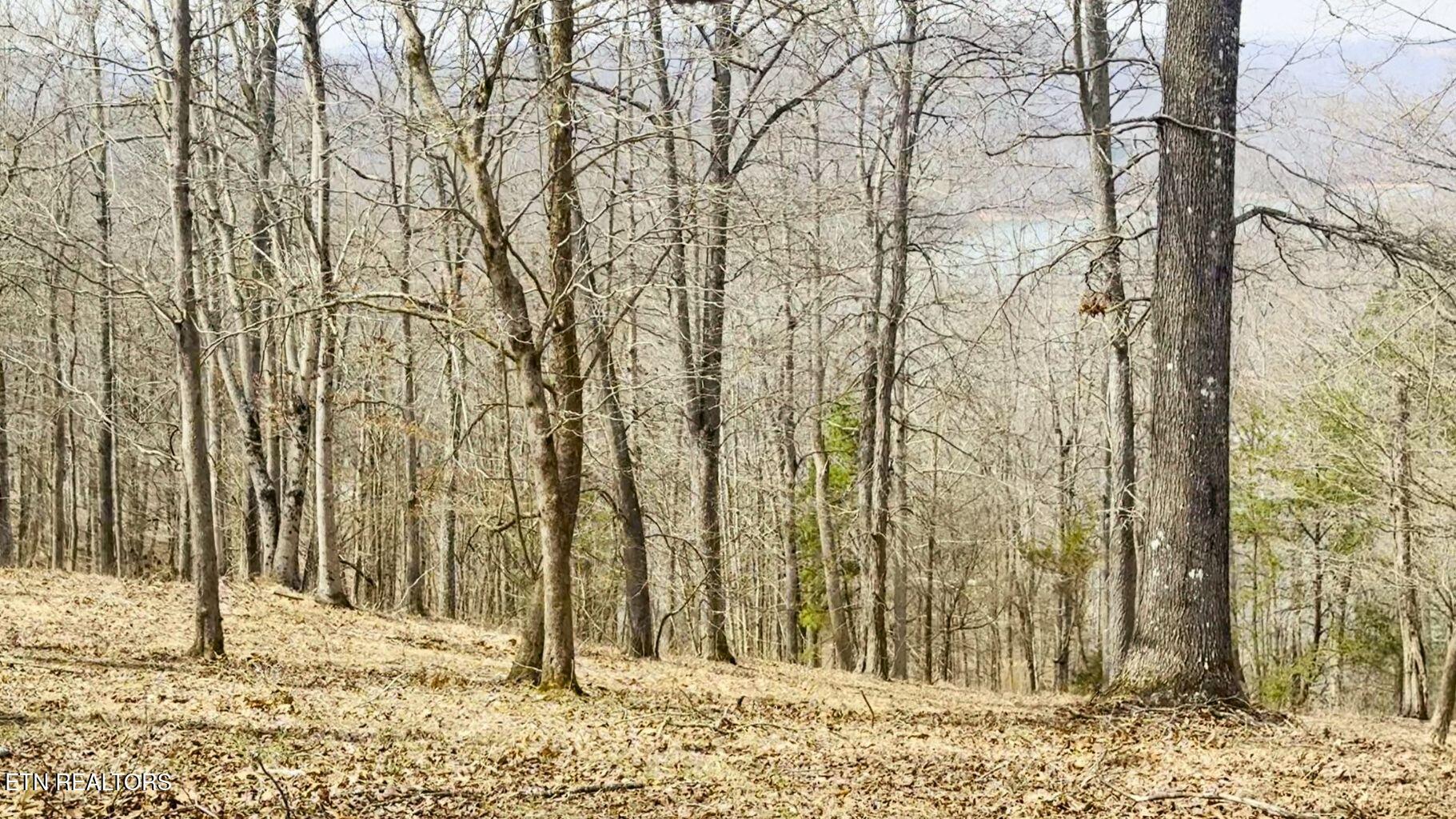 Deer Creek Path, Lafollette, TN - Norris Lake Real Estate - Image# 22
