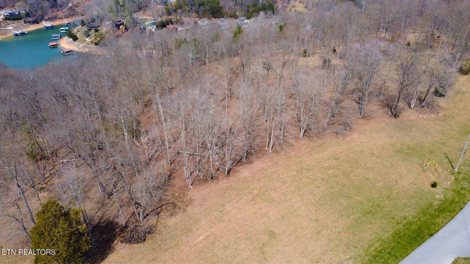 Deer Creek Path, Lafollette, TN - Norris Lake Real Estate - Image# 23