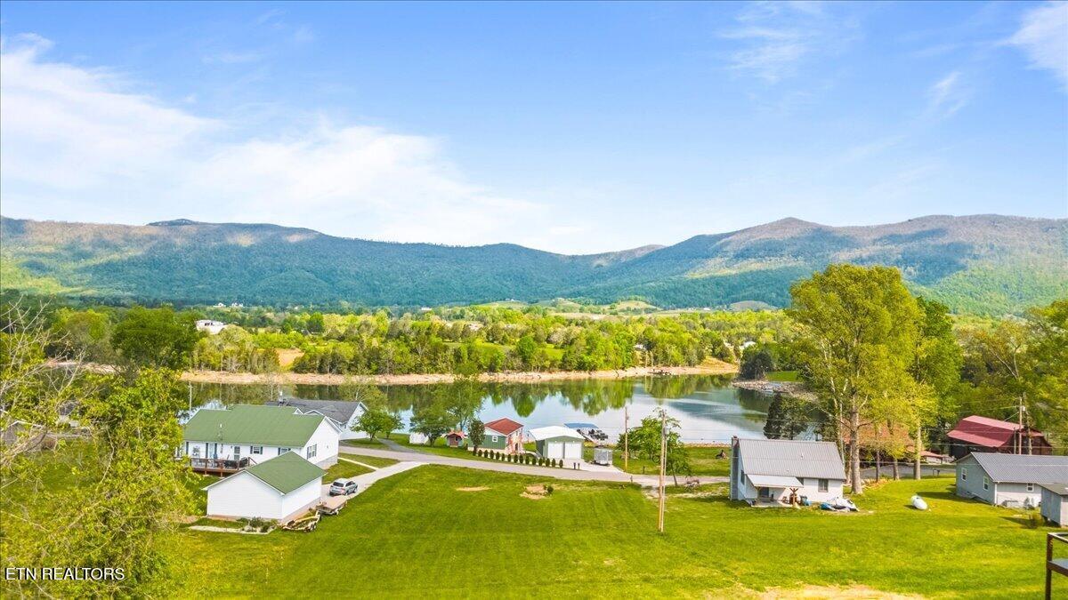 Norris Lake Real Estate - Image# 5