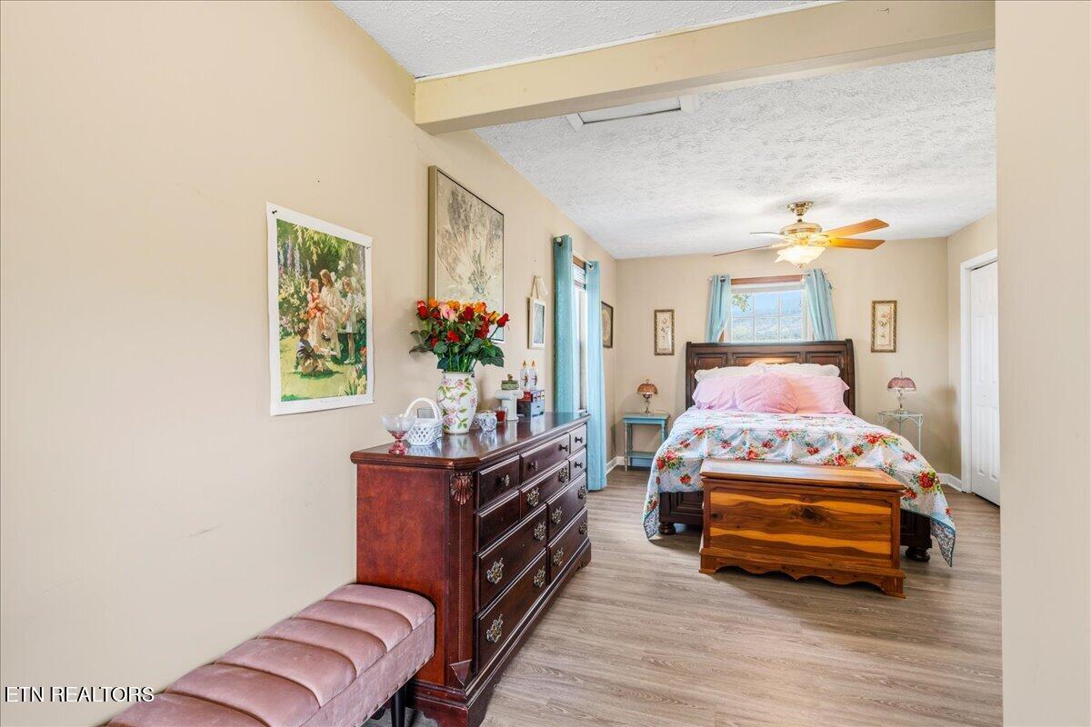 Norris Lake Real Estate - Image# 24