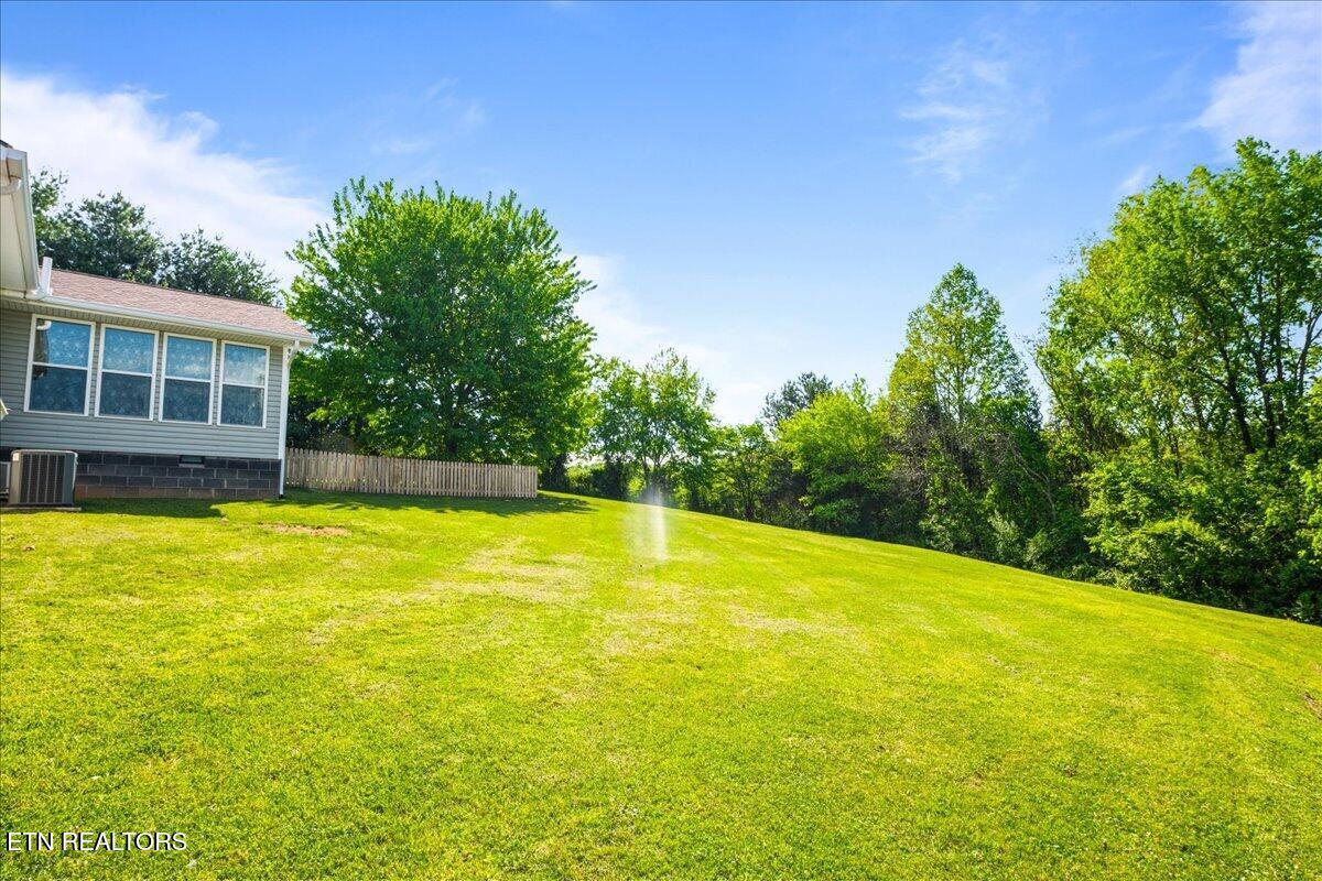 Norris Lake Real Estate - Image# 47
