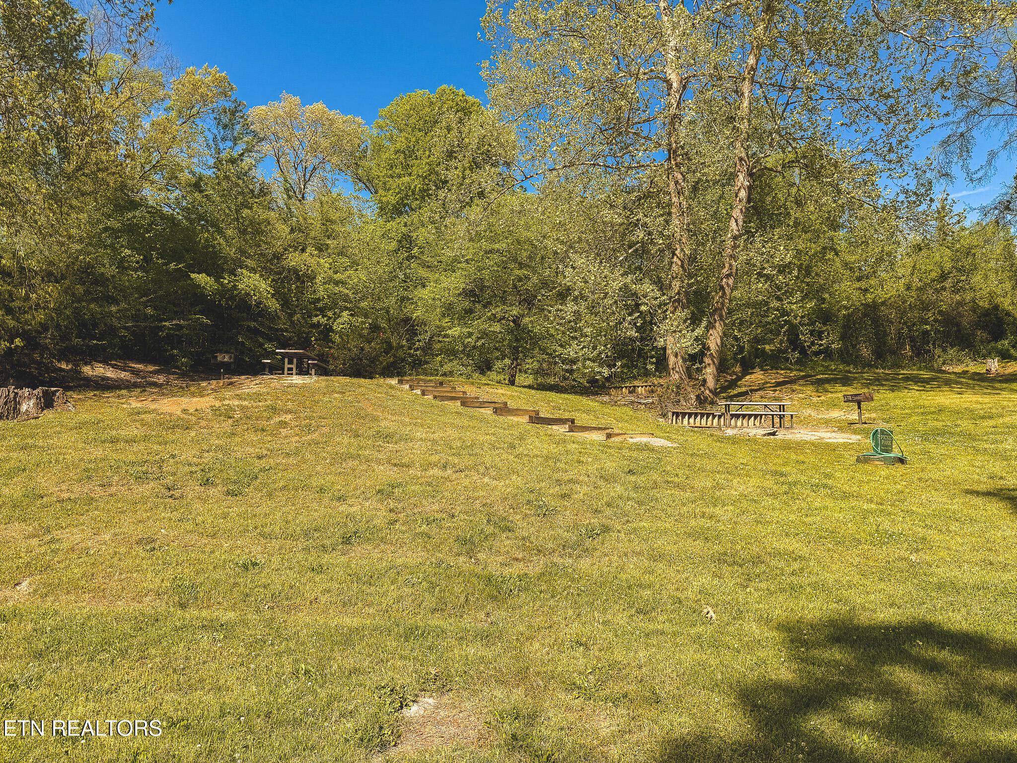 Norris Lake Real Estate - Image# 26