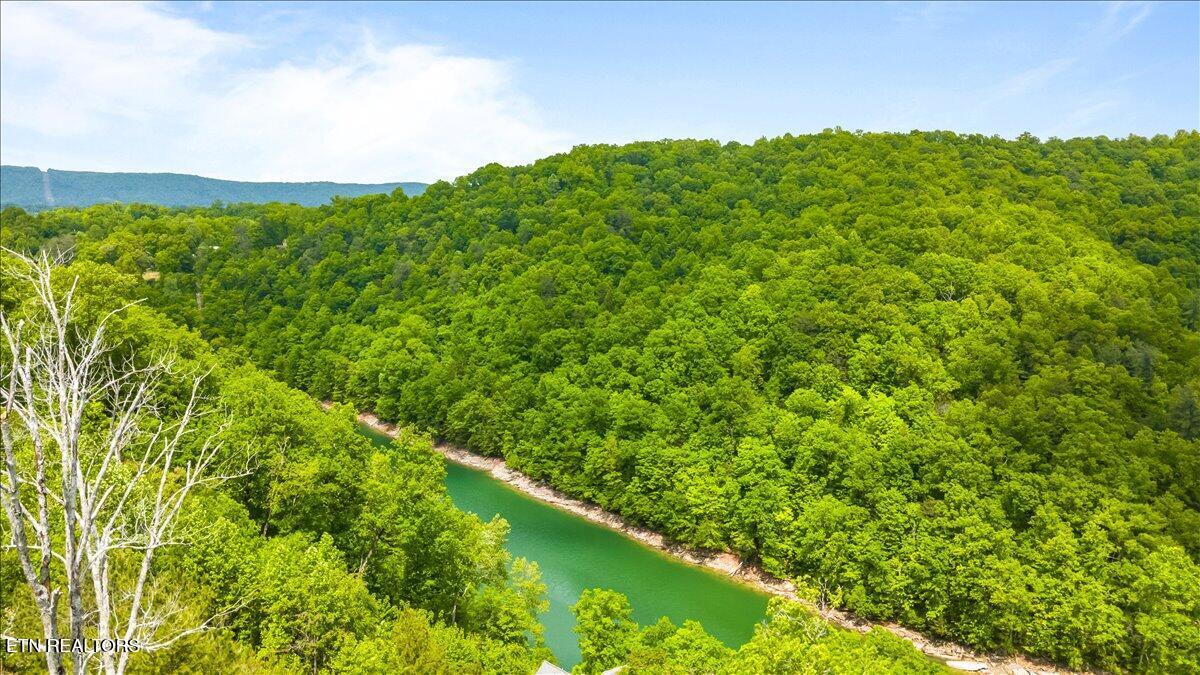 230 Foxwood Drive, Caryville, TN - Norris Lake Real Estate - Image# 37