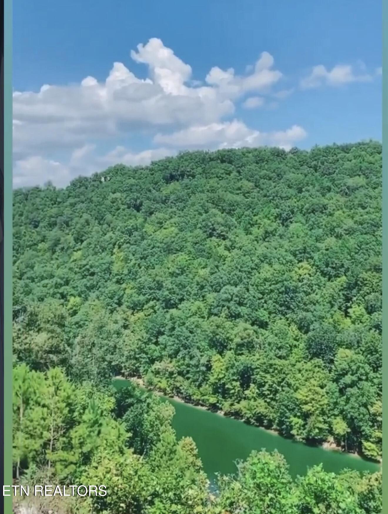 230 Foxwood Drive, Caryville, TN - Norris Lake Real Estate - Image# 2