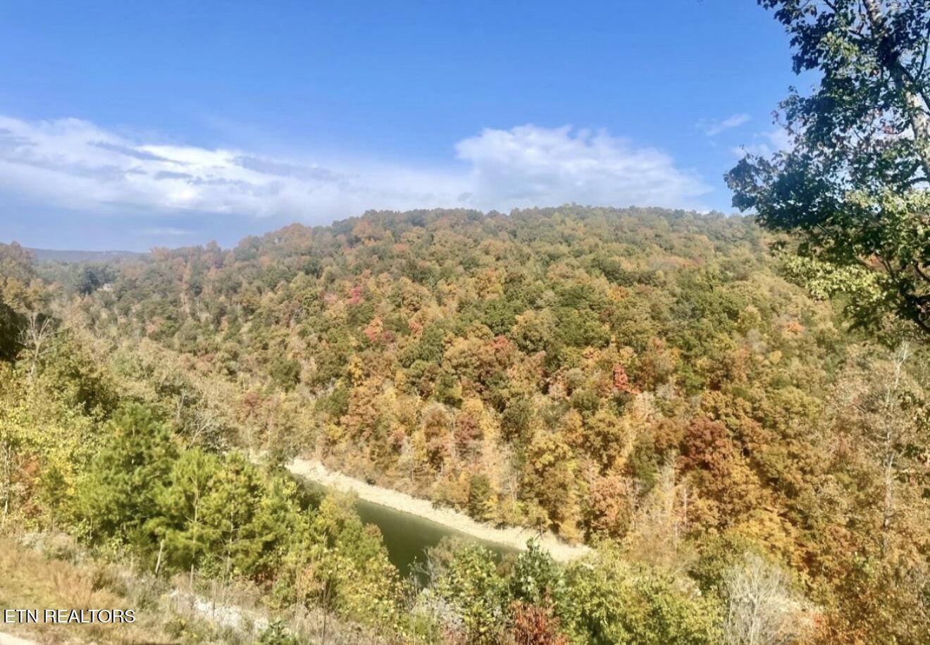 230 Foxwood Drive, Caryville, TN - Norris Lake Real Estate - Image# 46