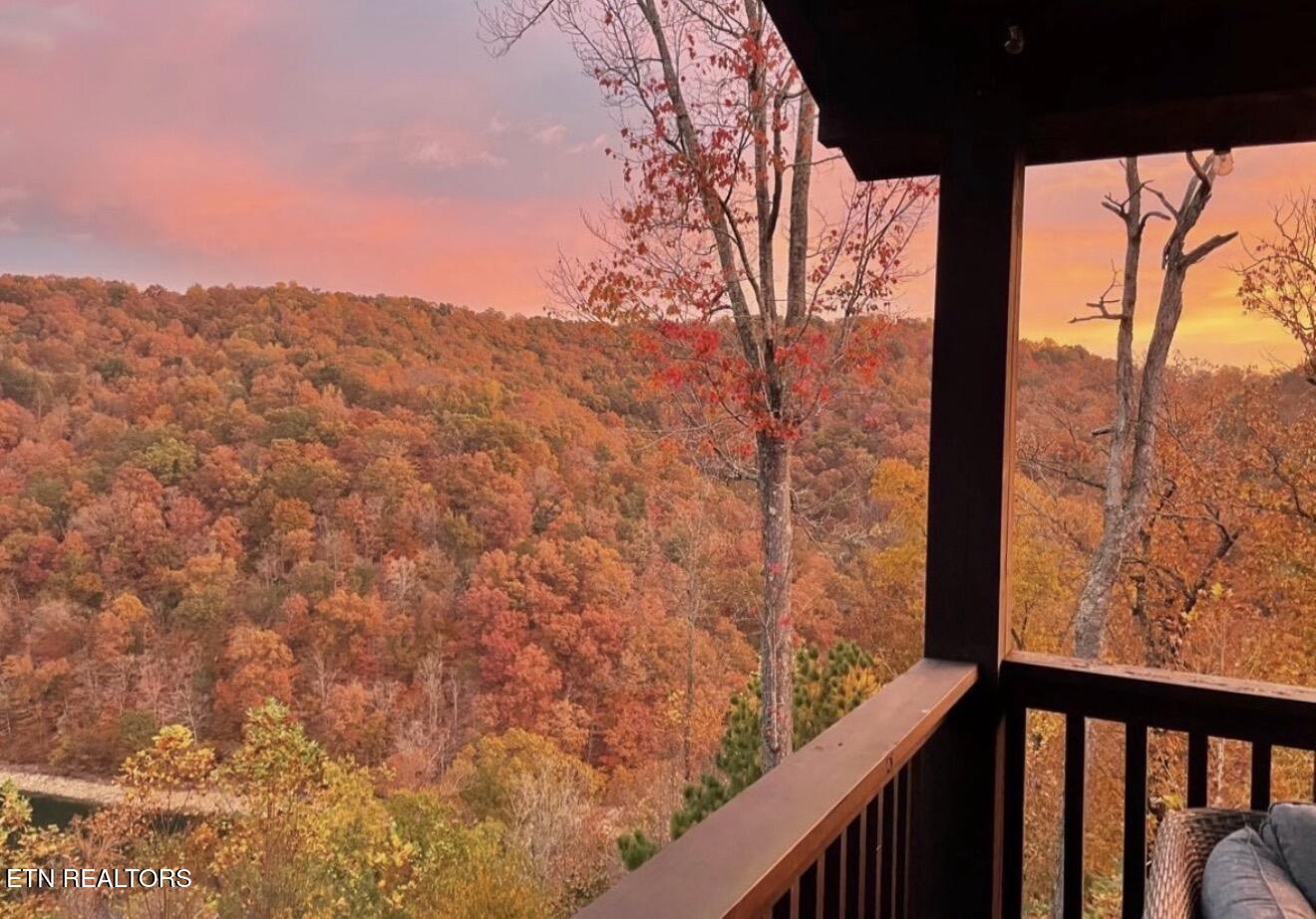 230 Foxwood Drive, Caryville, TN - Norris Lake Real Estate - Image# 7