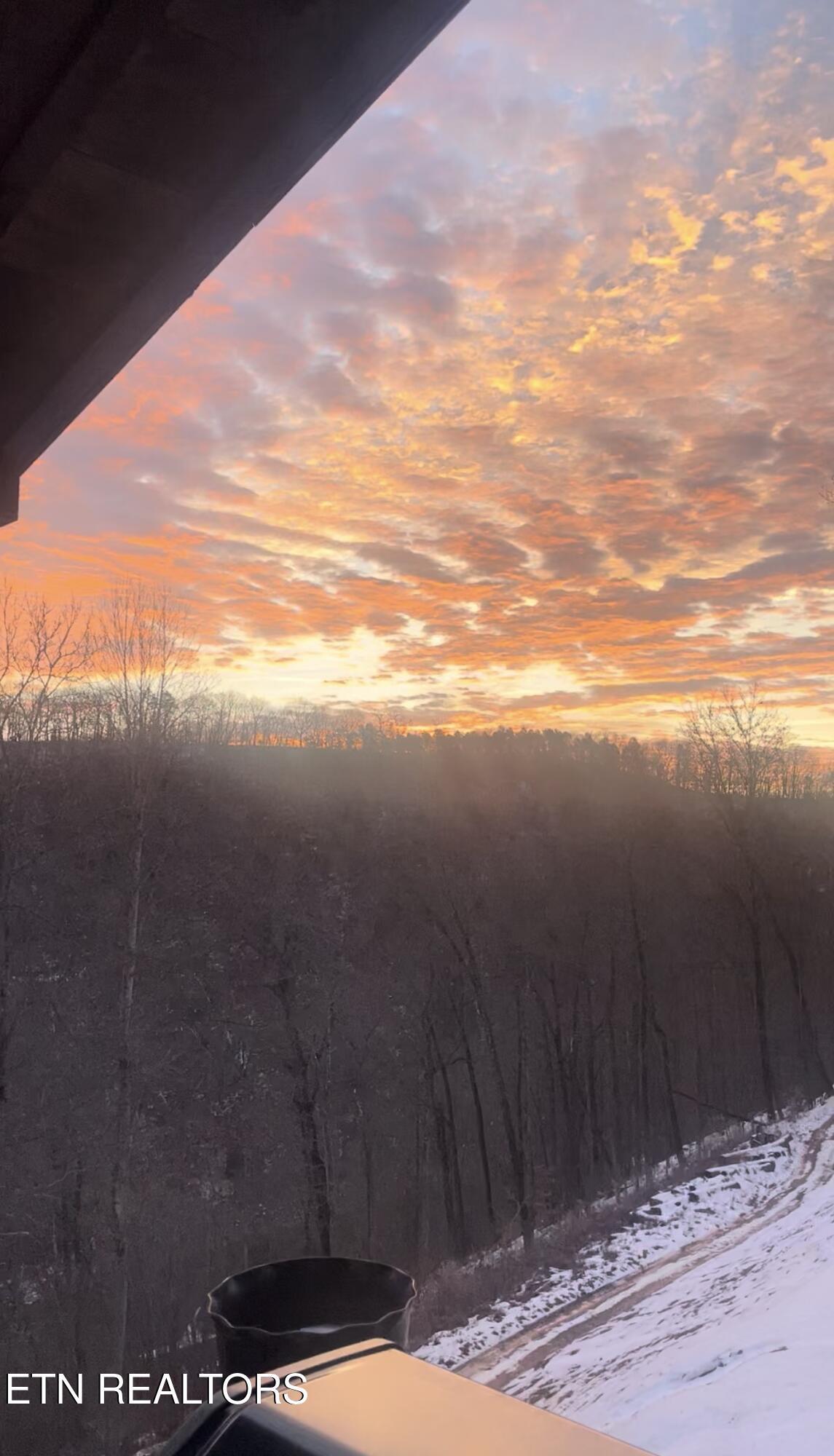 230 Foxwood Drive, Caryville, TN - Norris Lake Real Estate - Image# 47