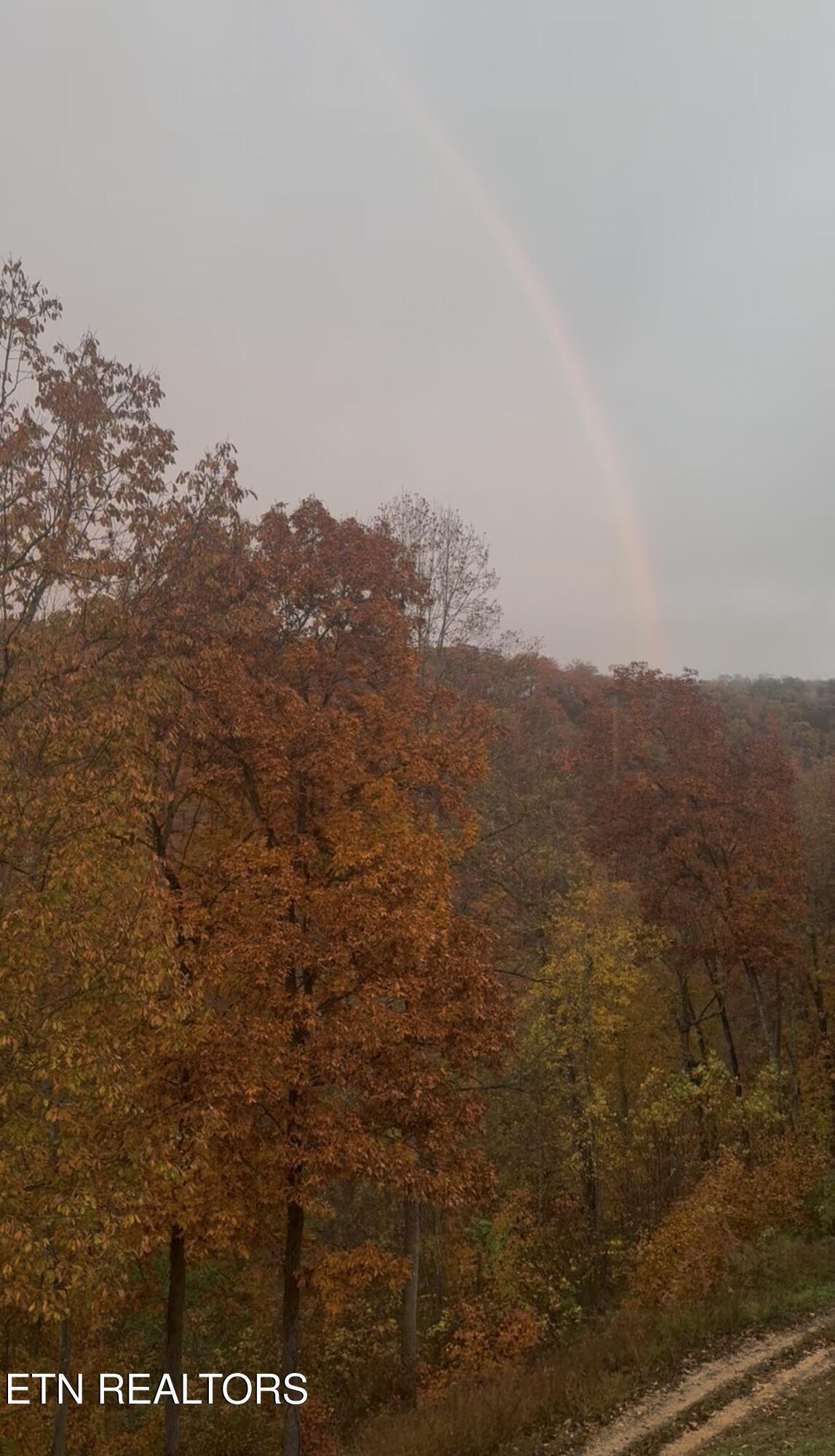 230 Foxwood Drive, Caryville, TN - Norris Lake Real Estate - Image# 51