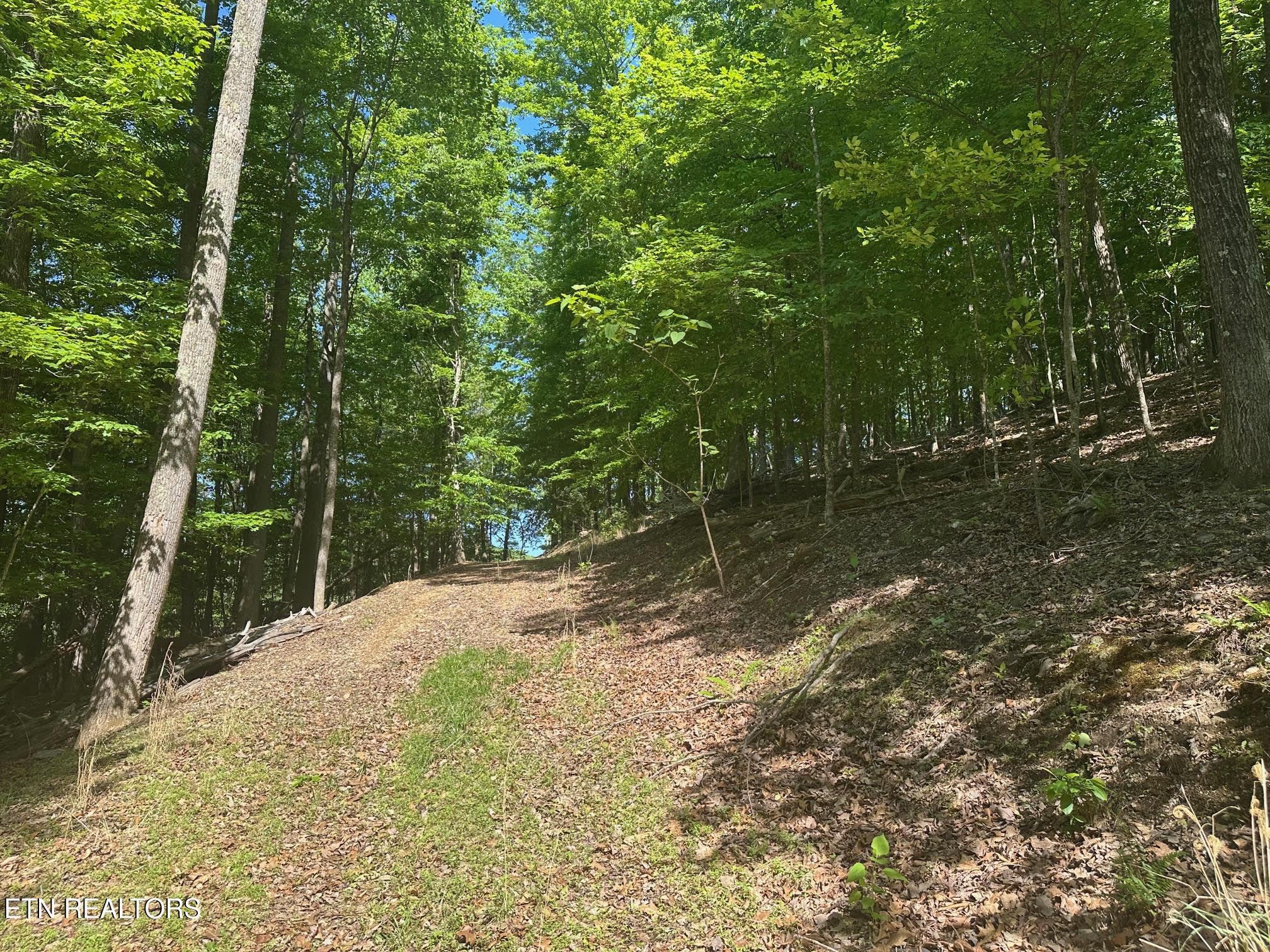 490 Fox Ridge Lane, Caryville, TN - Norris Lake Real Estate - Image# 3