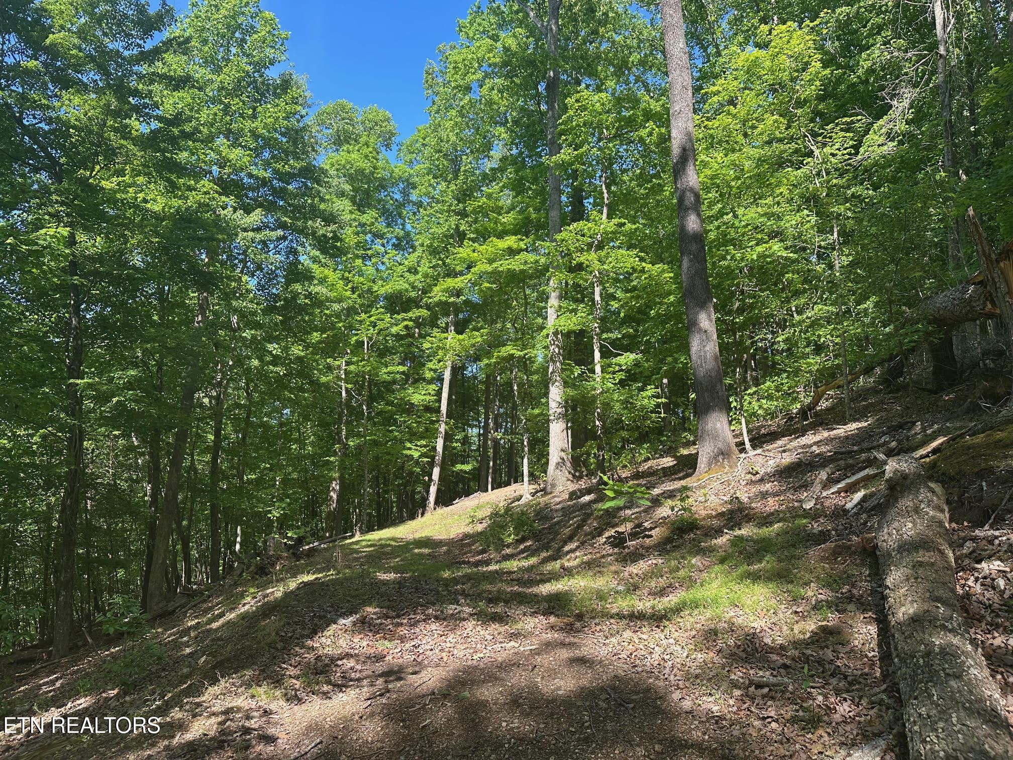490 Fox Ridge Lane, Caryville, TN - Norris Lake Real Estate - Image# 4
