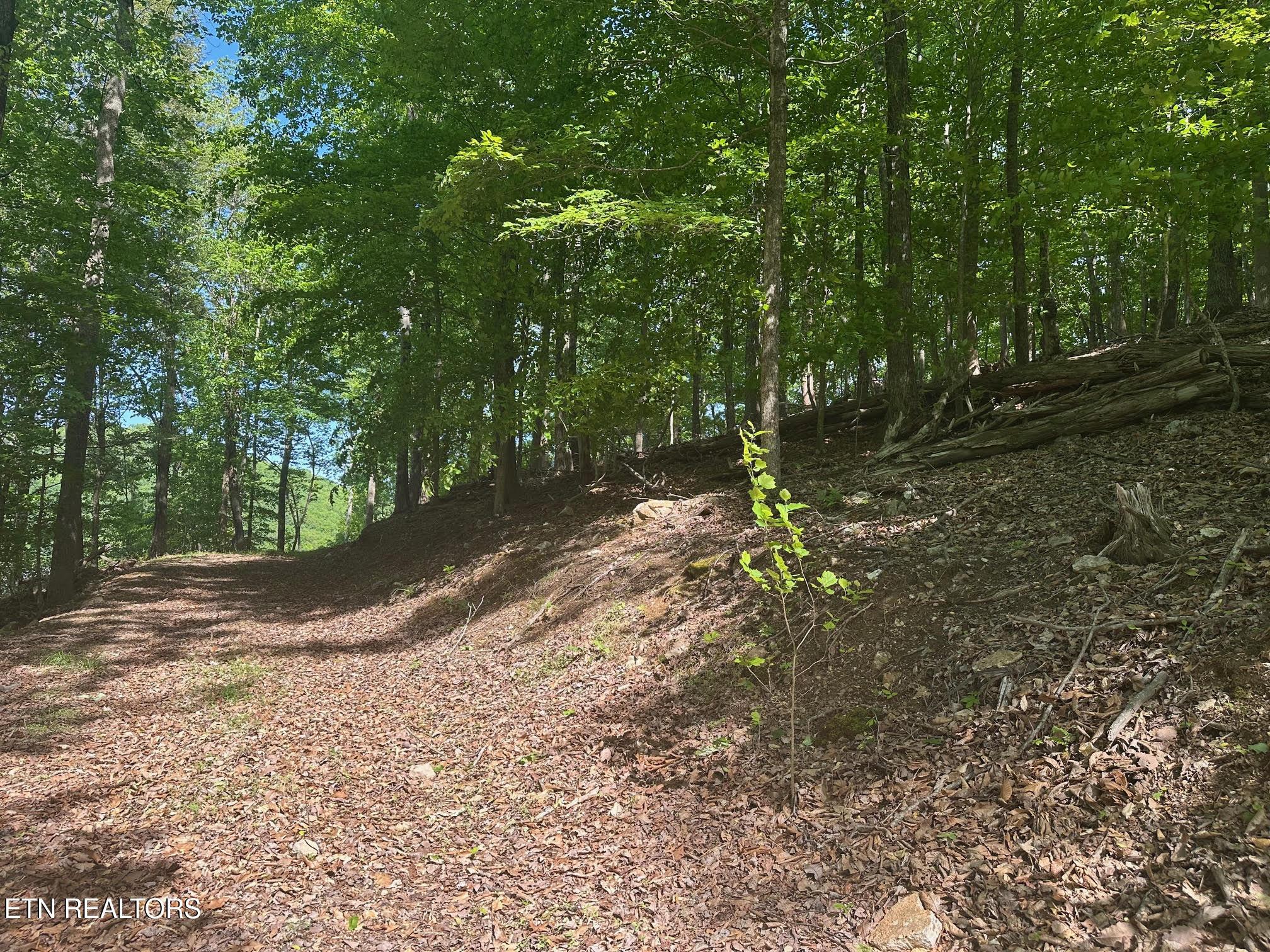 490 Fox Ridge Lane, Caryville, TN - Norris Lake Real Estate - Image# 5