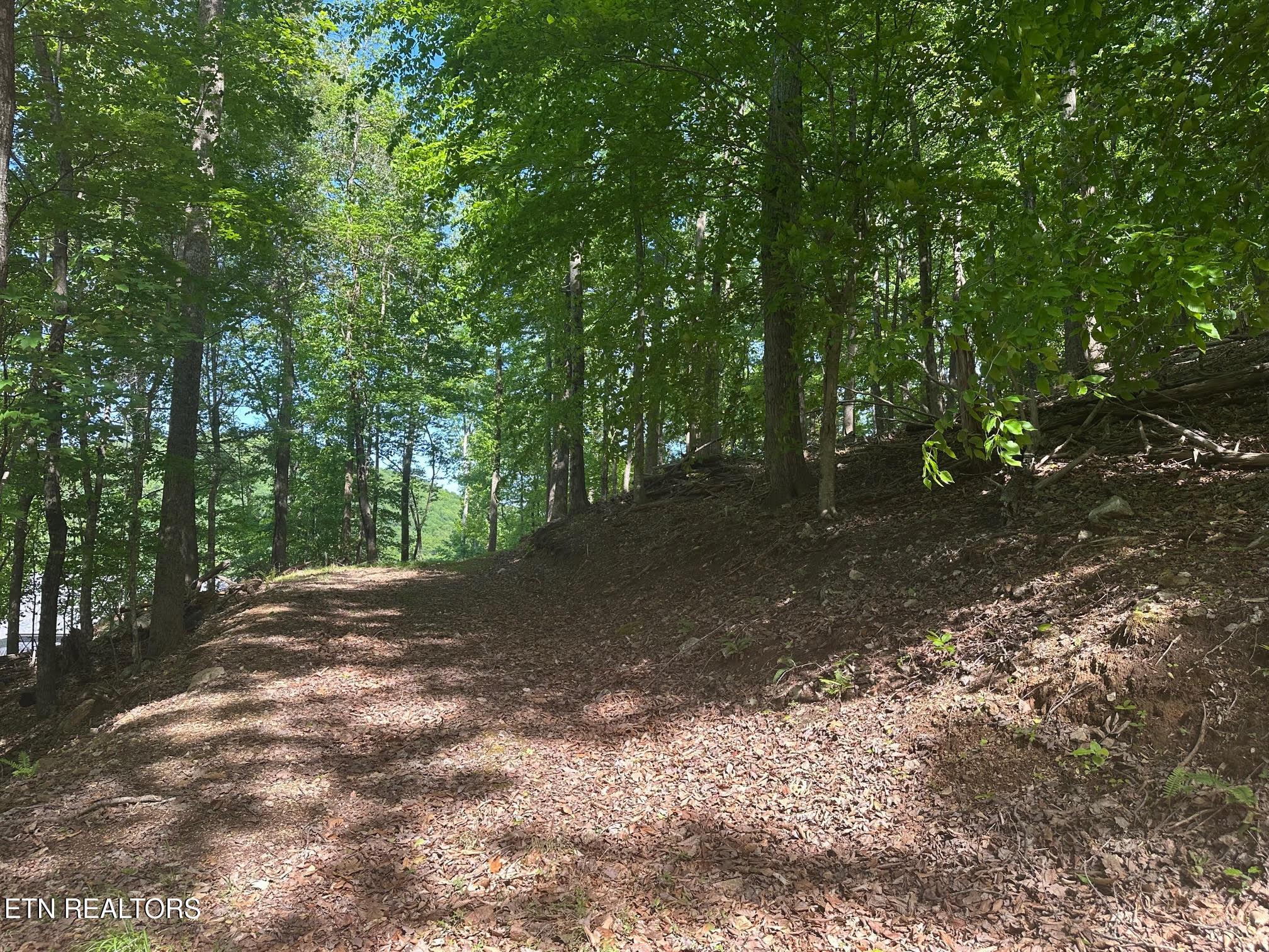 490 Fox Ridge Lane, Caryville, TN - Norris Lake Real Estate - Image# 6