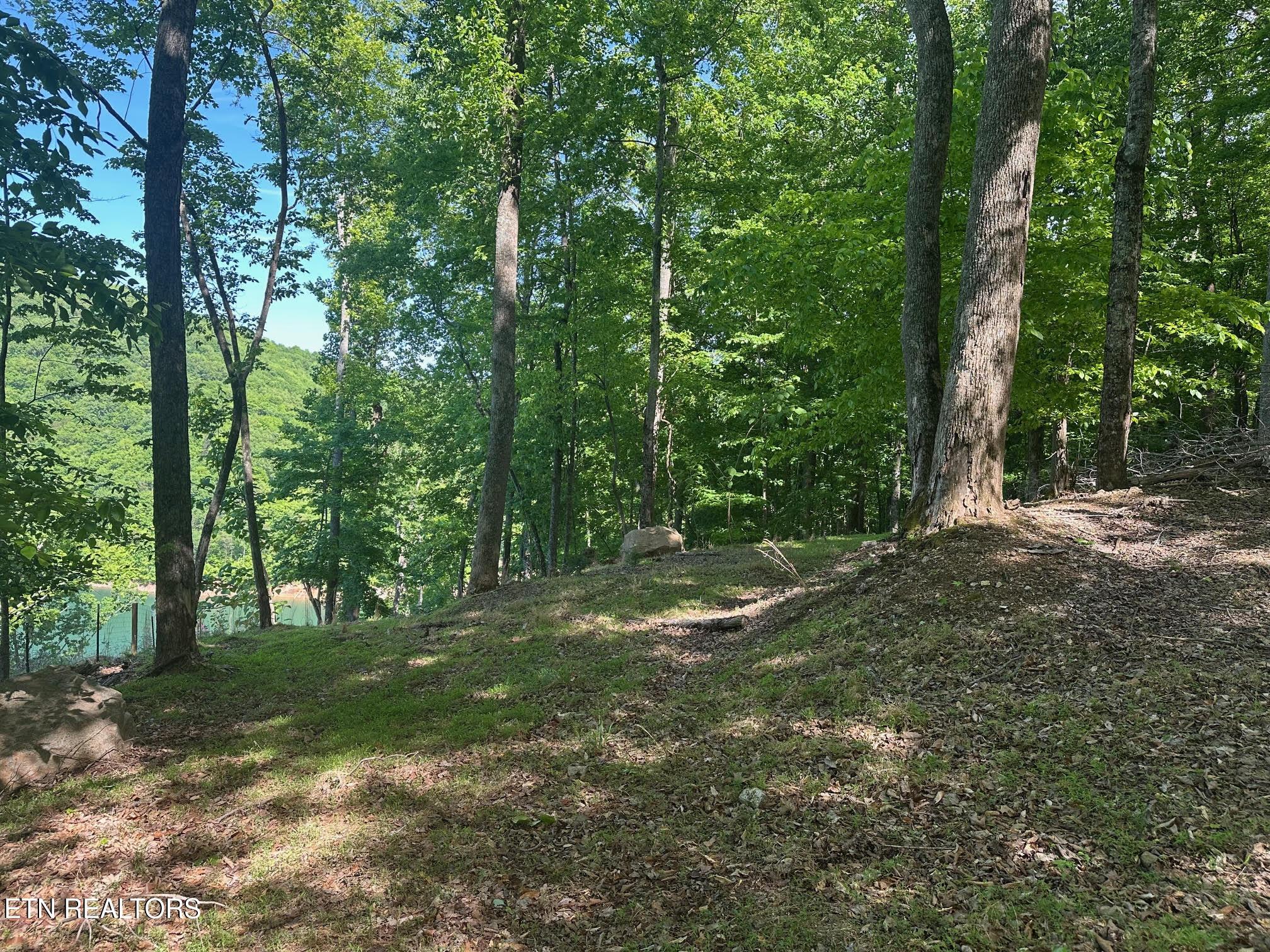 490 Fox Ridge Lane, Caryville, TN - Norris Lake Real Estate - Image# 7