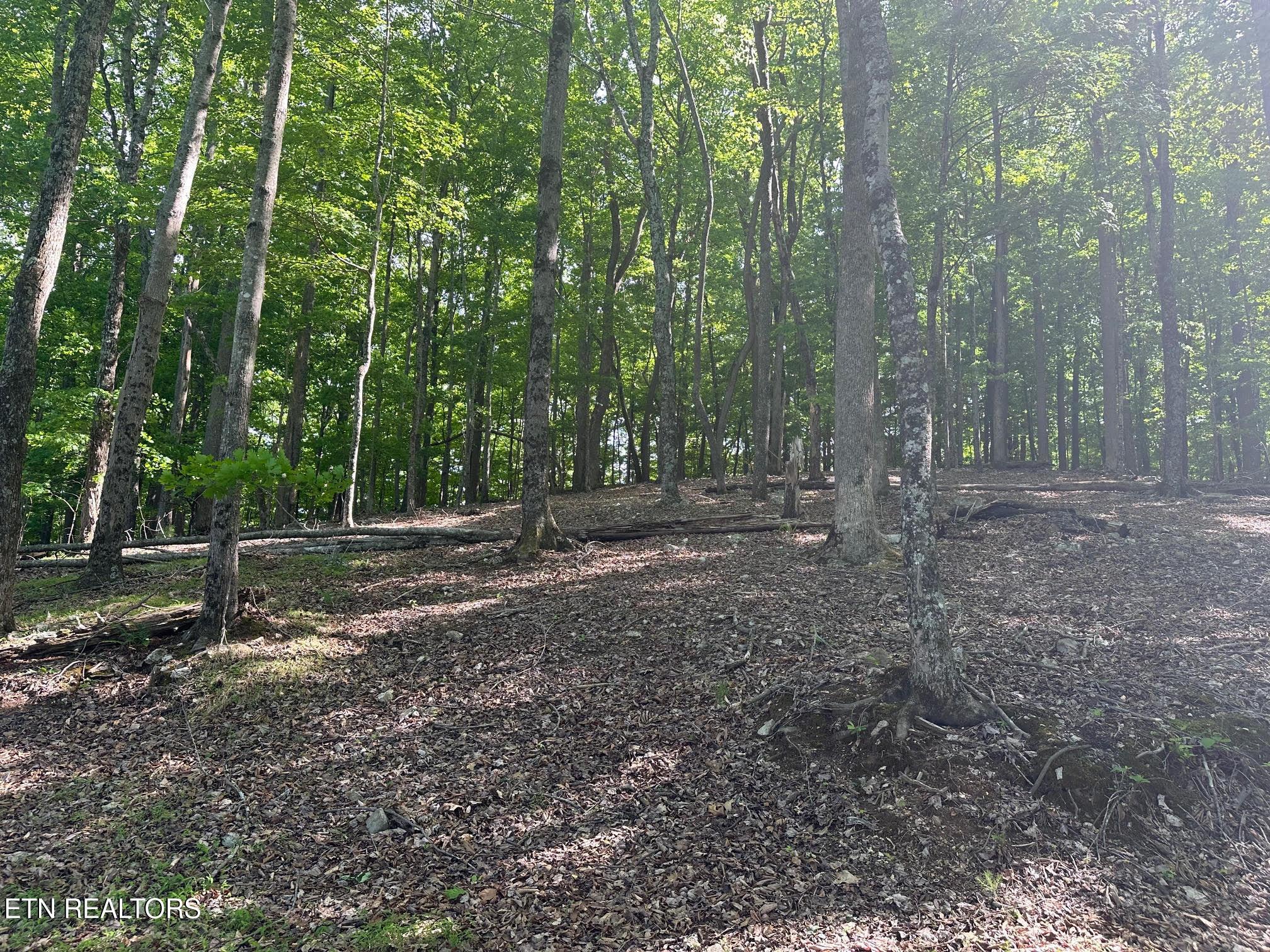 490 Fox Ridge Lane, Caryville, TN - Norris Lake Real Estate - Image# 9