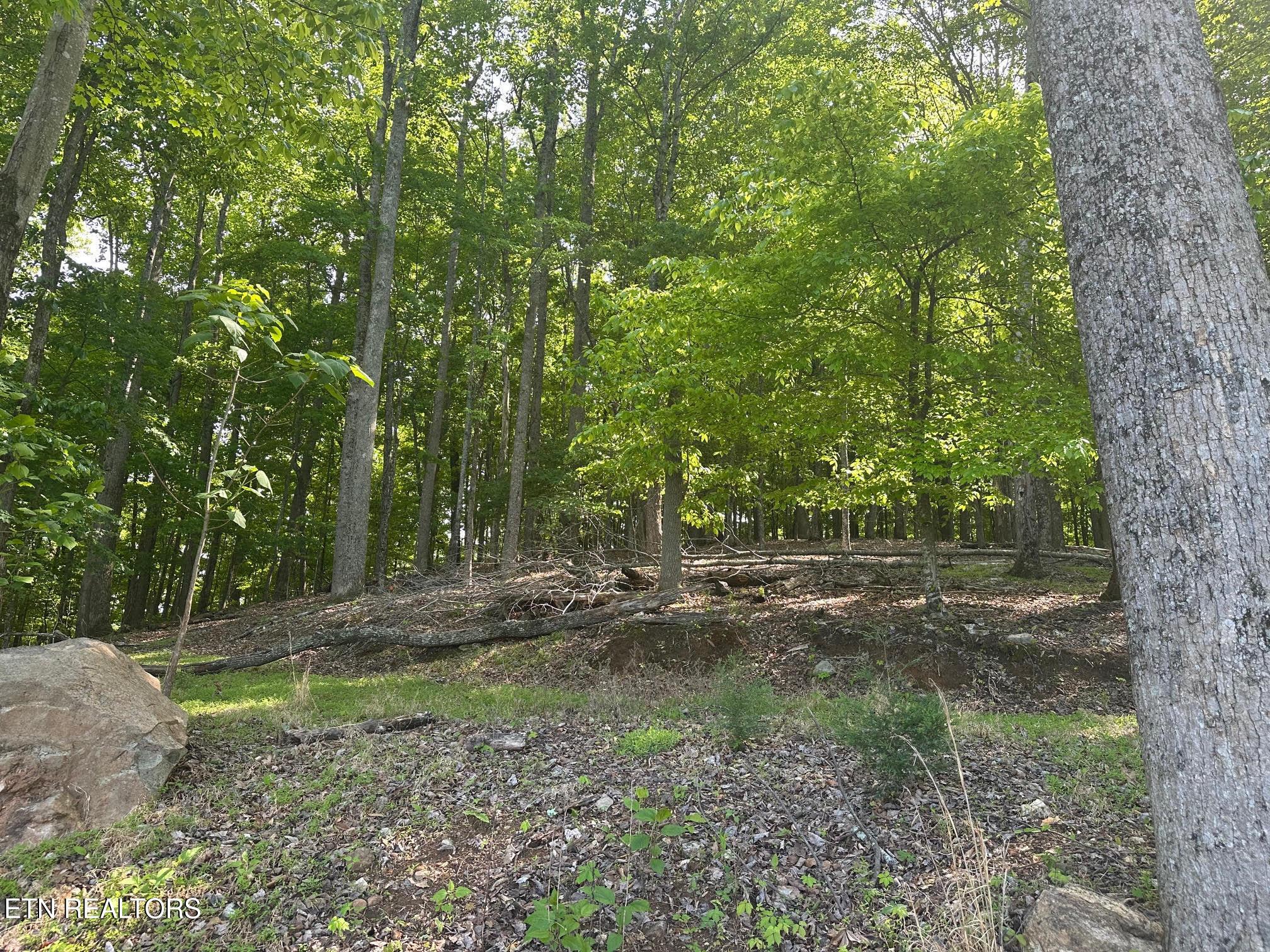 490 Fox Ridge Lane, Caryville, TN - Norris Lake Real Estate - Image# 10