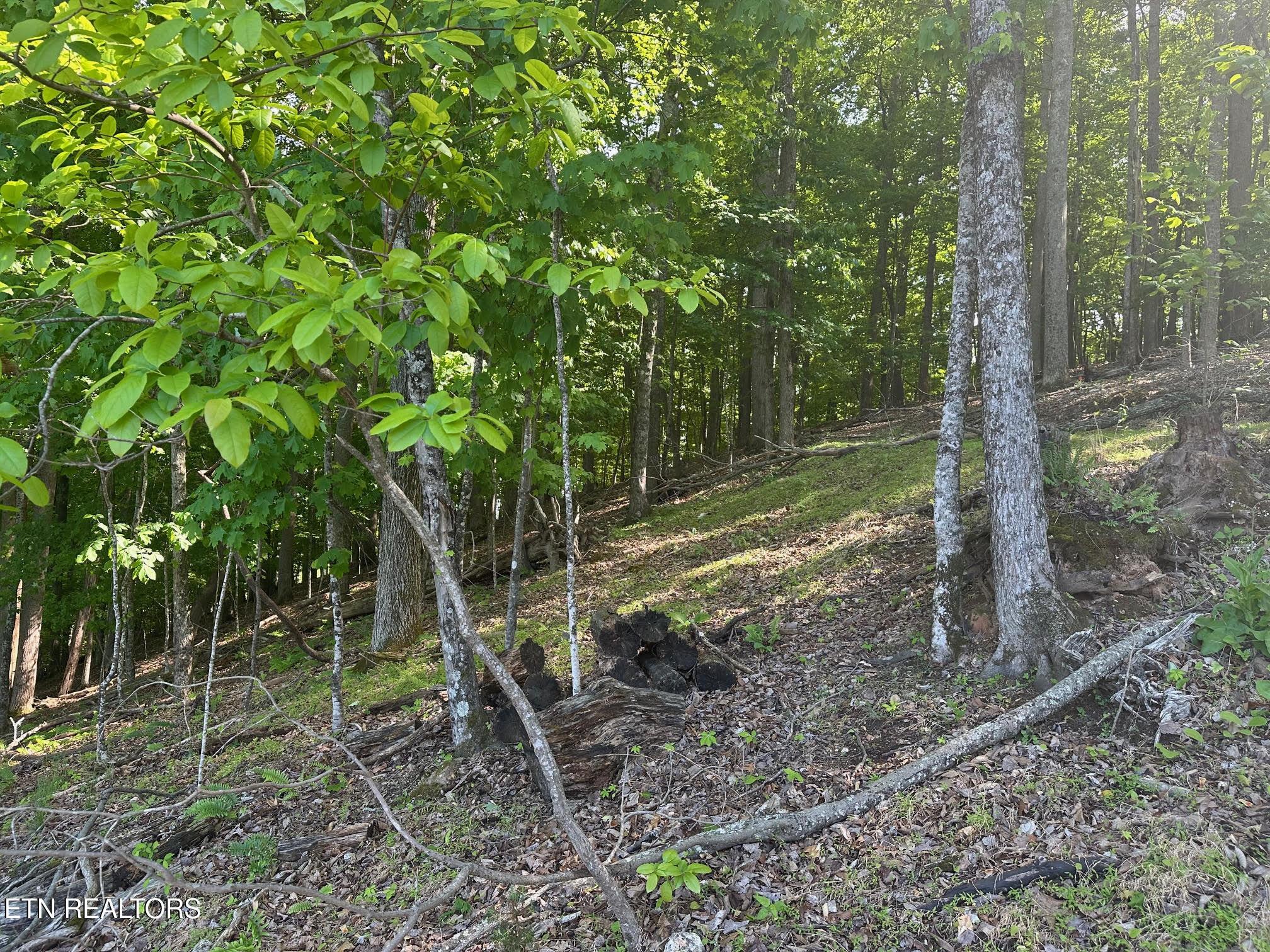 490 Fox Ridge Lane, Caryville, TN - Norris Lake Real Estate - Image# 11
