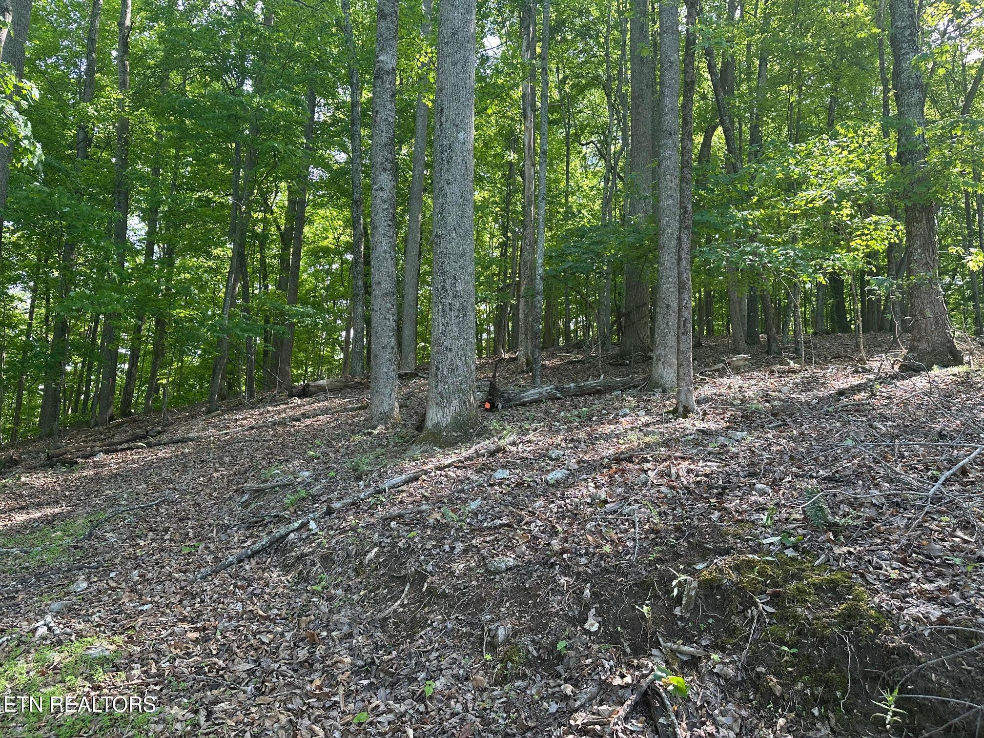 490 Fox Ridge Lane, Caryville, TN - Norris Lake Real Estate - Image# 12