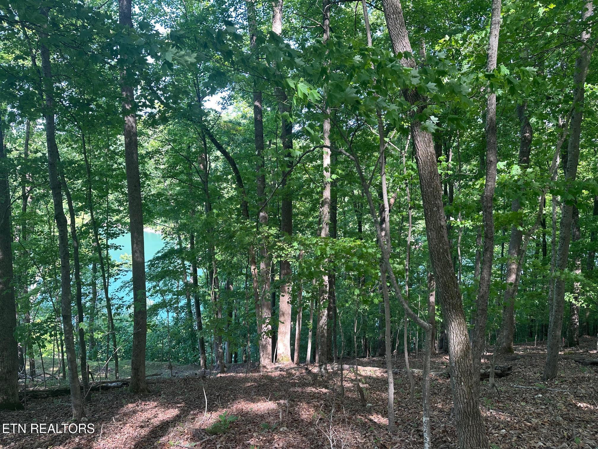 490 Fox Ridge Lane, Caryville, TN - Norris Lake Real Estate - Image# 13