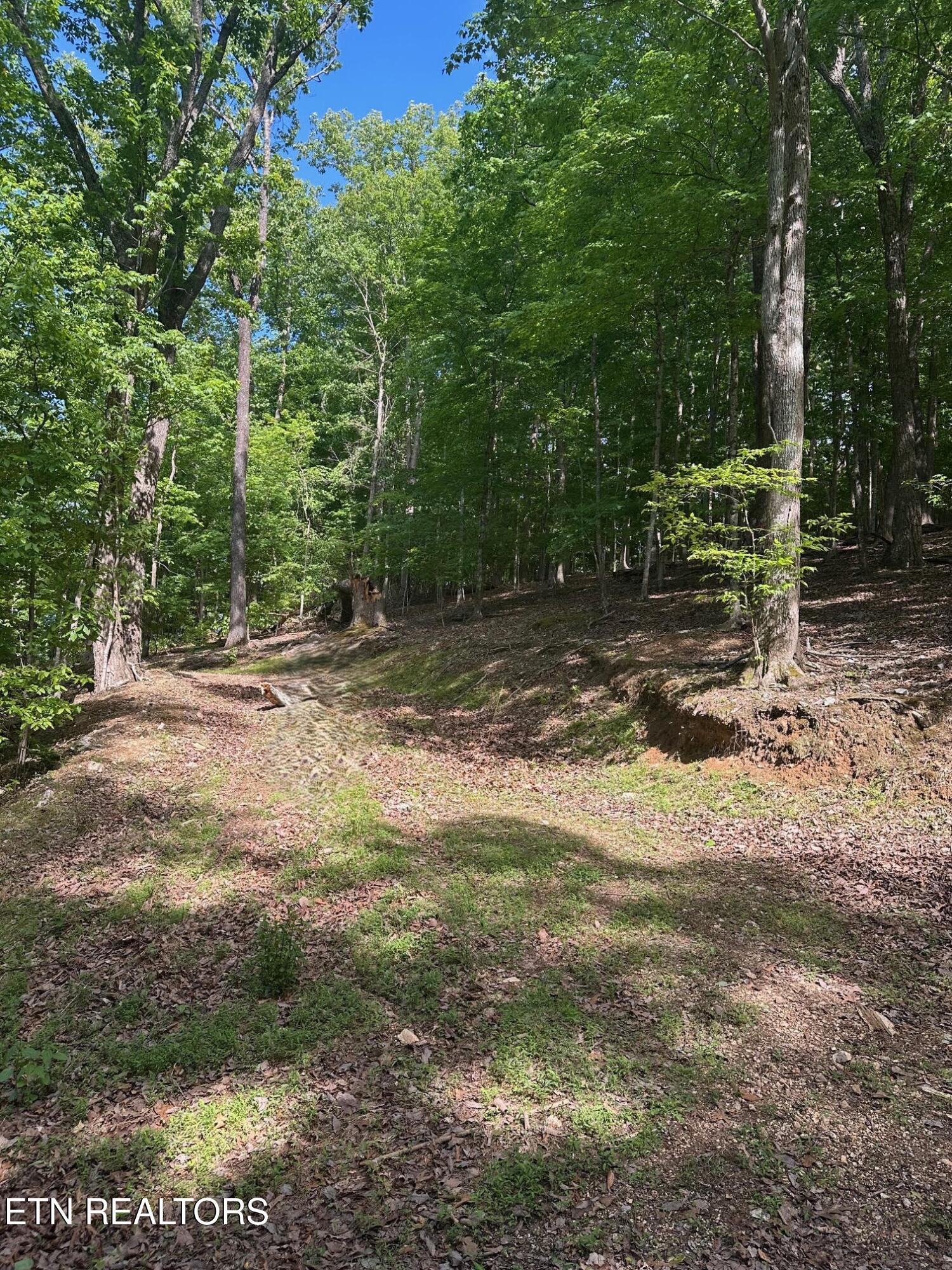 490 Fox Ridge Lane, Caryville, TN - Norris Lake Real Estate - Image# 1