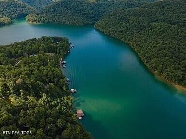 490 Fox Ridge Lane, Caryville, TN - Norris Lake Real Estate - Image# 16