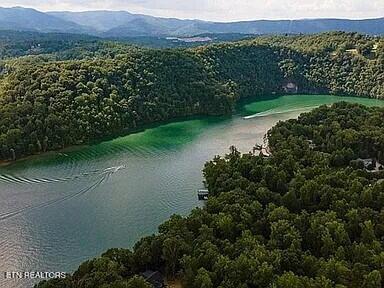 490 Fox Ridge Lane, Caryville, TN - Norris Lake Real Estate - Image# 17