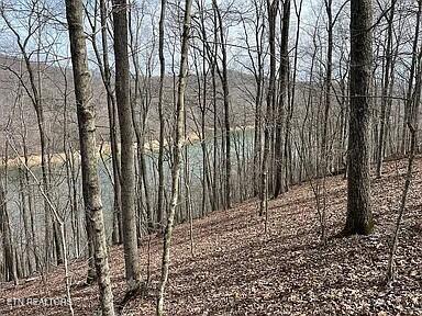 490 Fox Ridge Lane, Caryville, TN - Norris Lake Real Estate - Image# 2