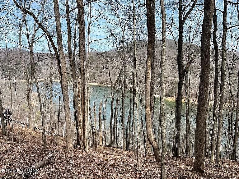 490 Fox Ridge Lane, Caryville, TN - Norris Lake Real Estate - Image# 15