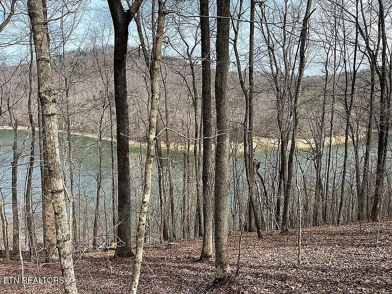 490 Fox Ridge Lane, Caryville, TN - Norris Lake Real Estate - Image# 14