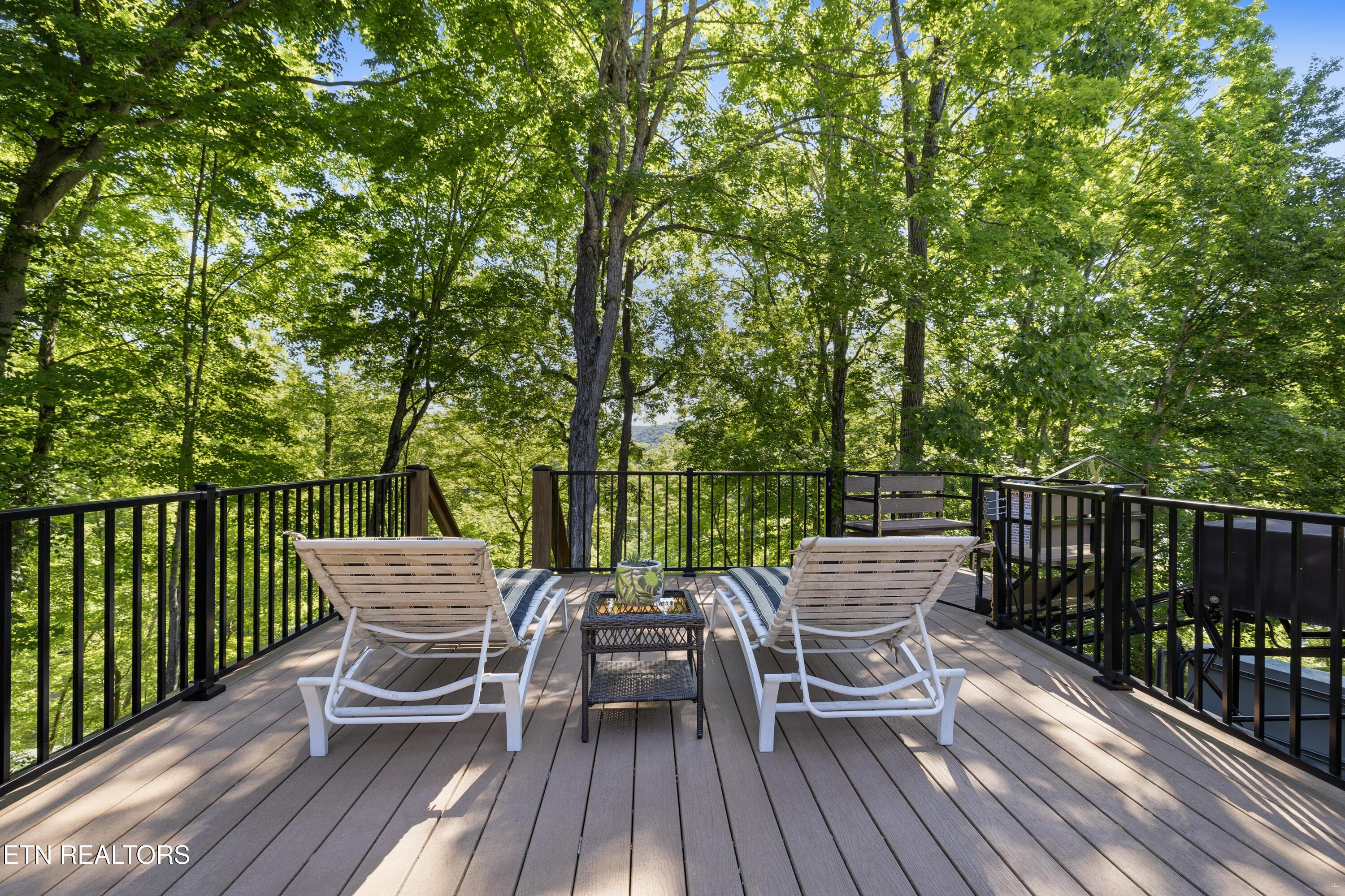 127 Ridgeland Lane, Sharps Chapel, TN - Norris Lake Real Estate - Image# 44