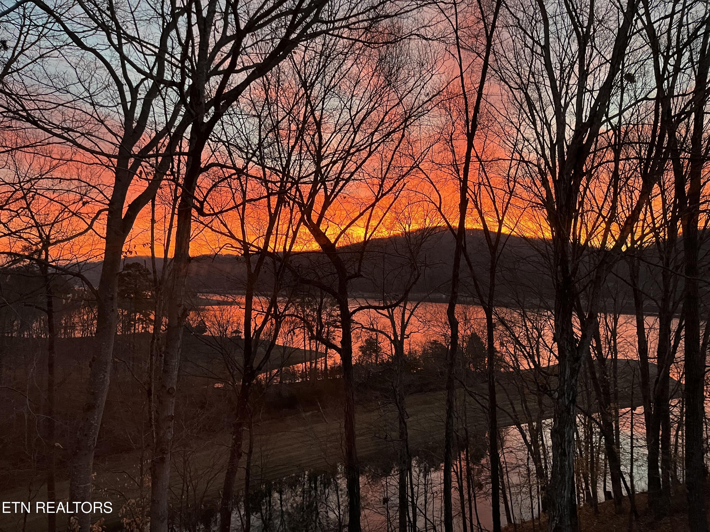 127 Ridgeland Lane, Sharps Chapel, TN - Norris Lake Real Estate - Image# 6