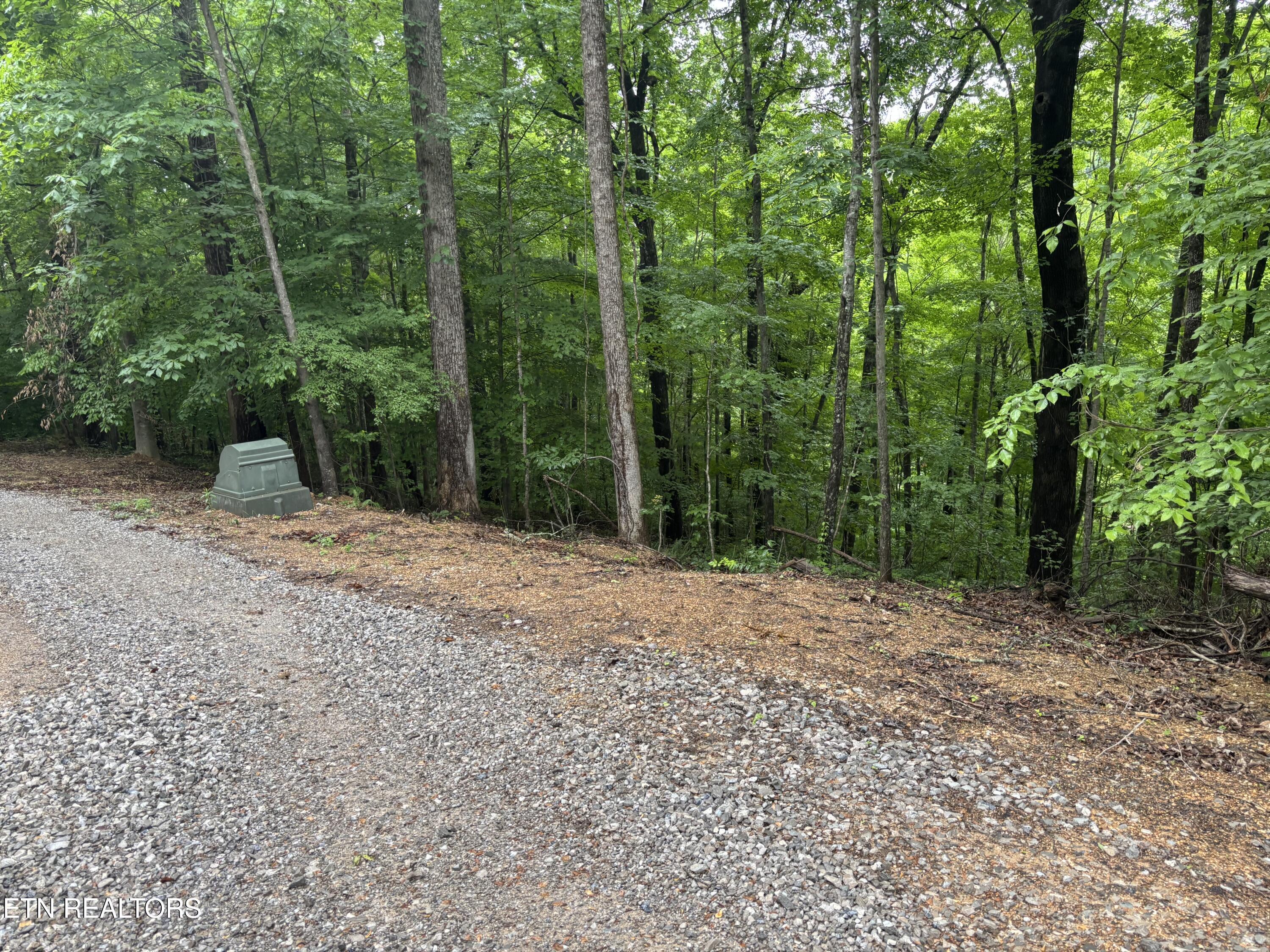 Lakemont Lane, Caryville, TN - Norris Lake Real Estate - Image# 8