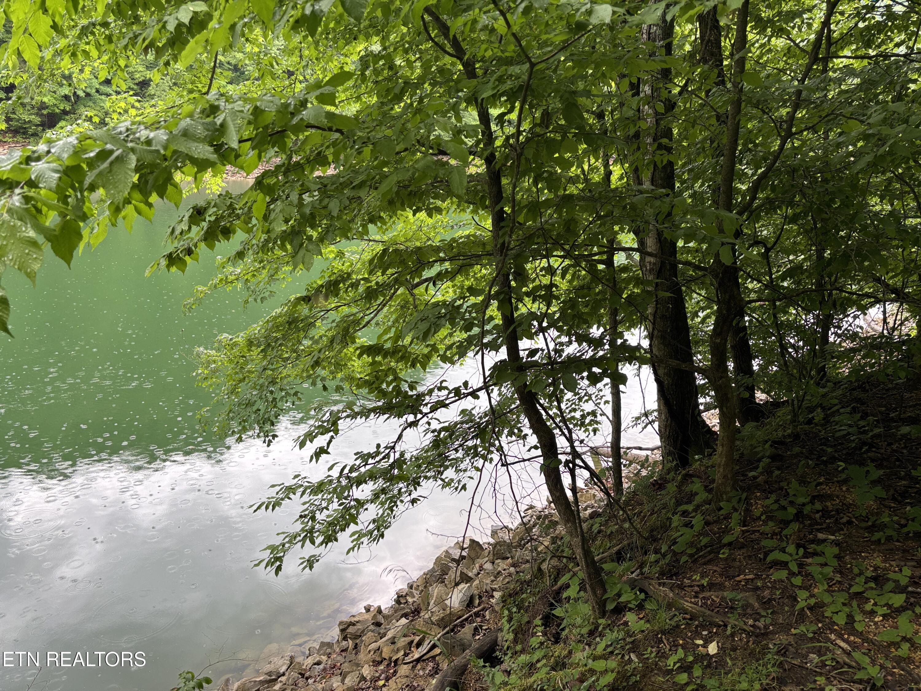 Lakemont Lane, Caryville, TN - Norris Lake Real Estate - Image# 4