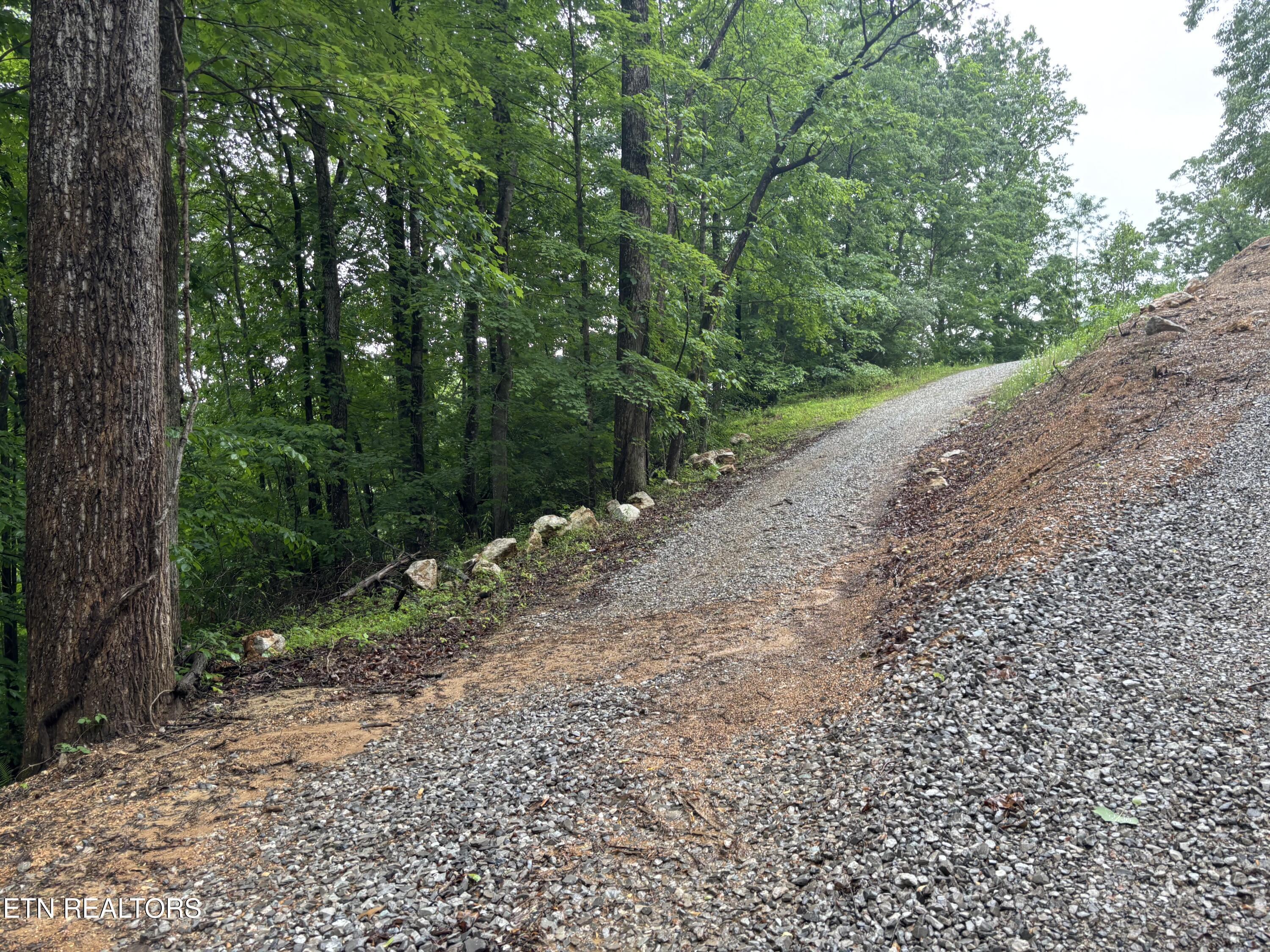 Lakemont Lane, Caryville, TN - Norris Lake Real Estate - Image# 7