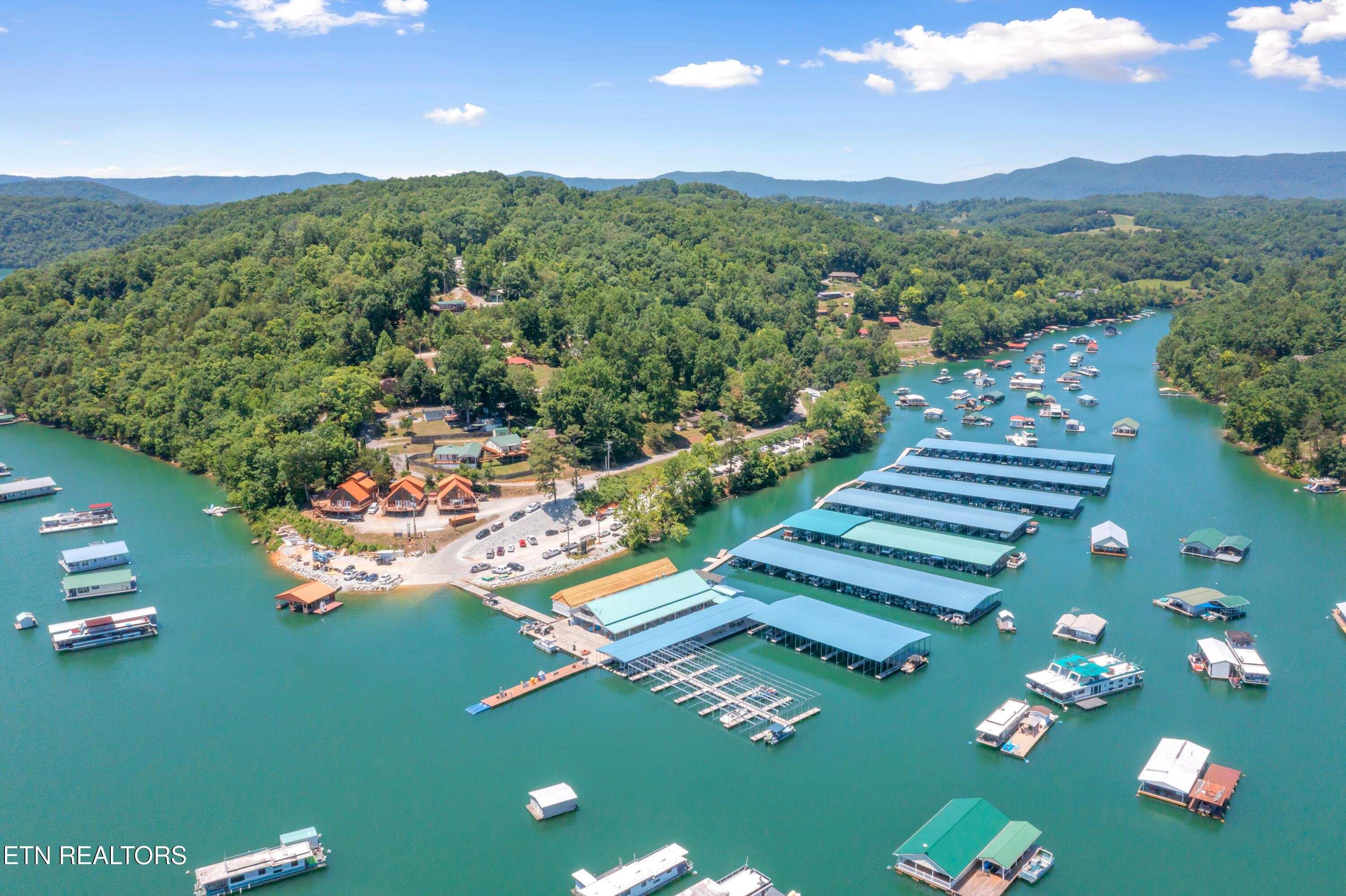 Norris Lake Real Estate - Image# 6