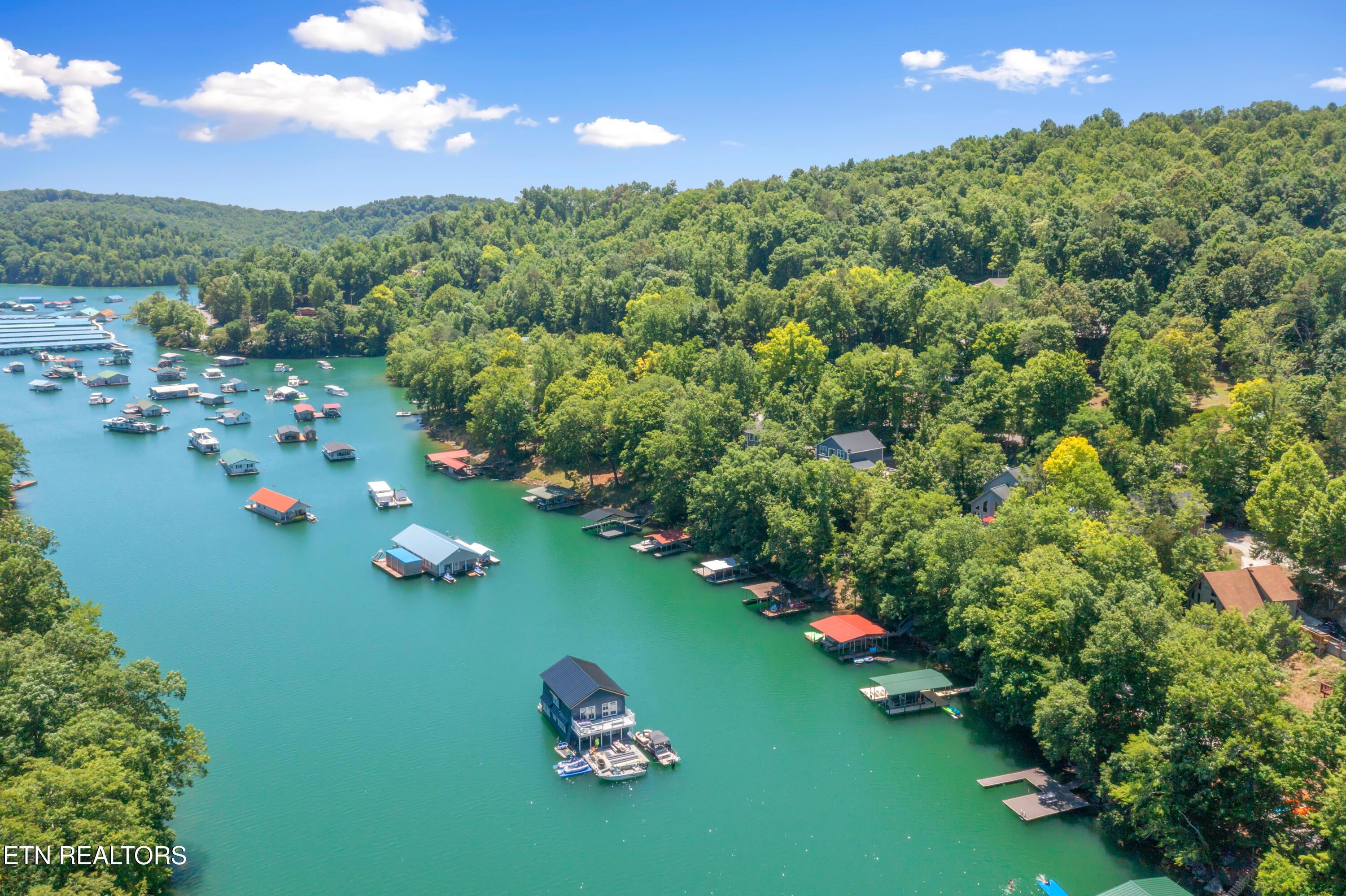 Norris Lake Real Estate - Image# 5