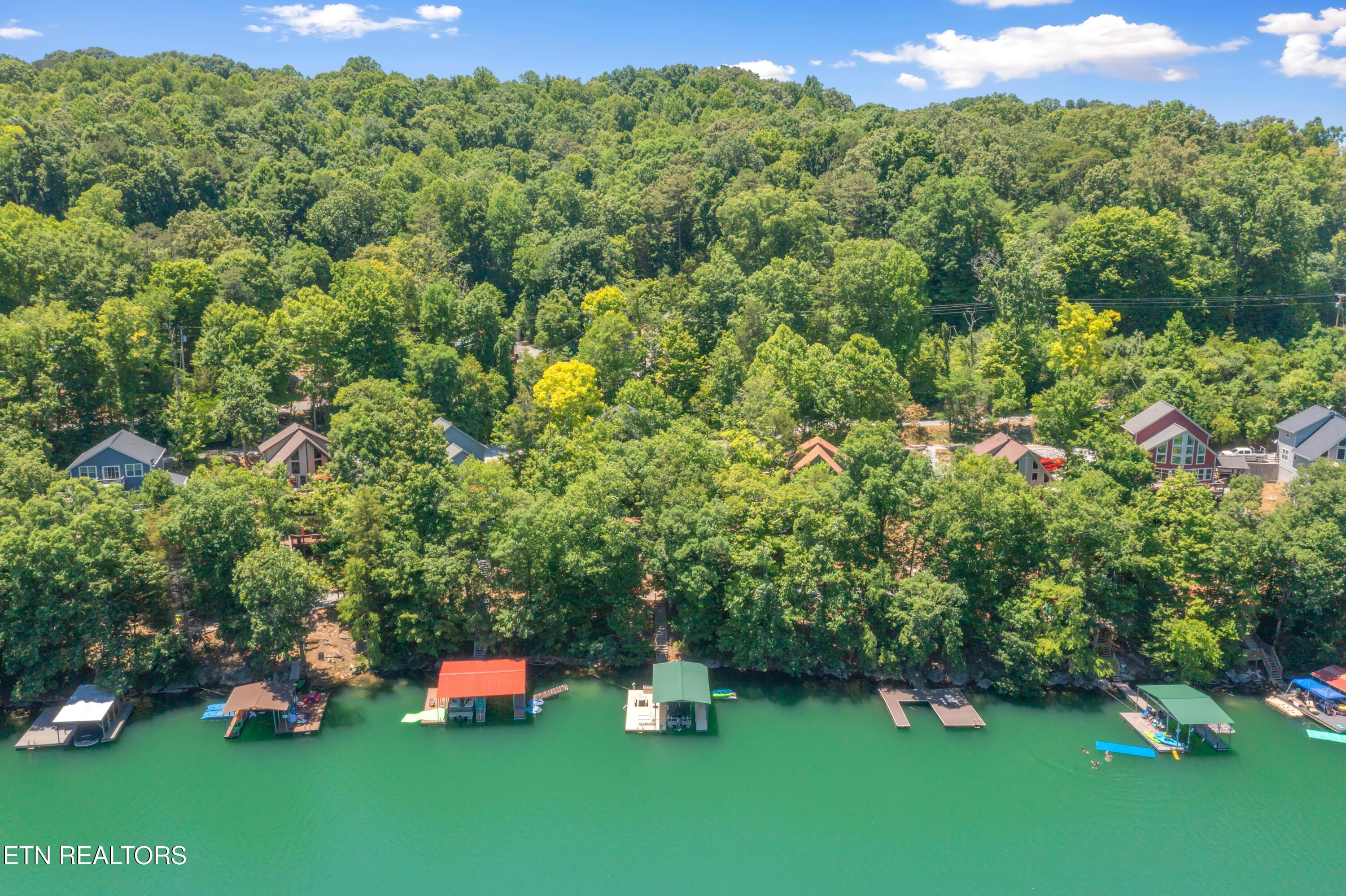 Norris Lake Real Estate - Image# 9