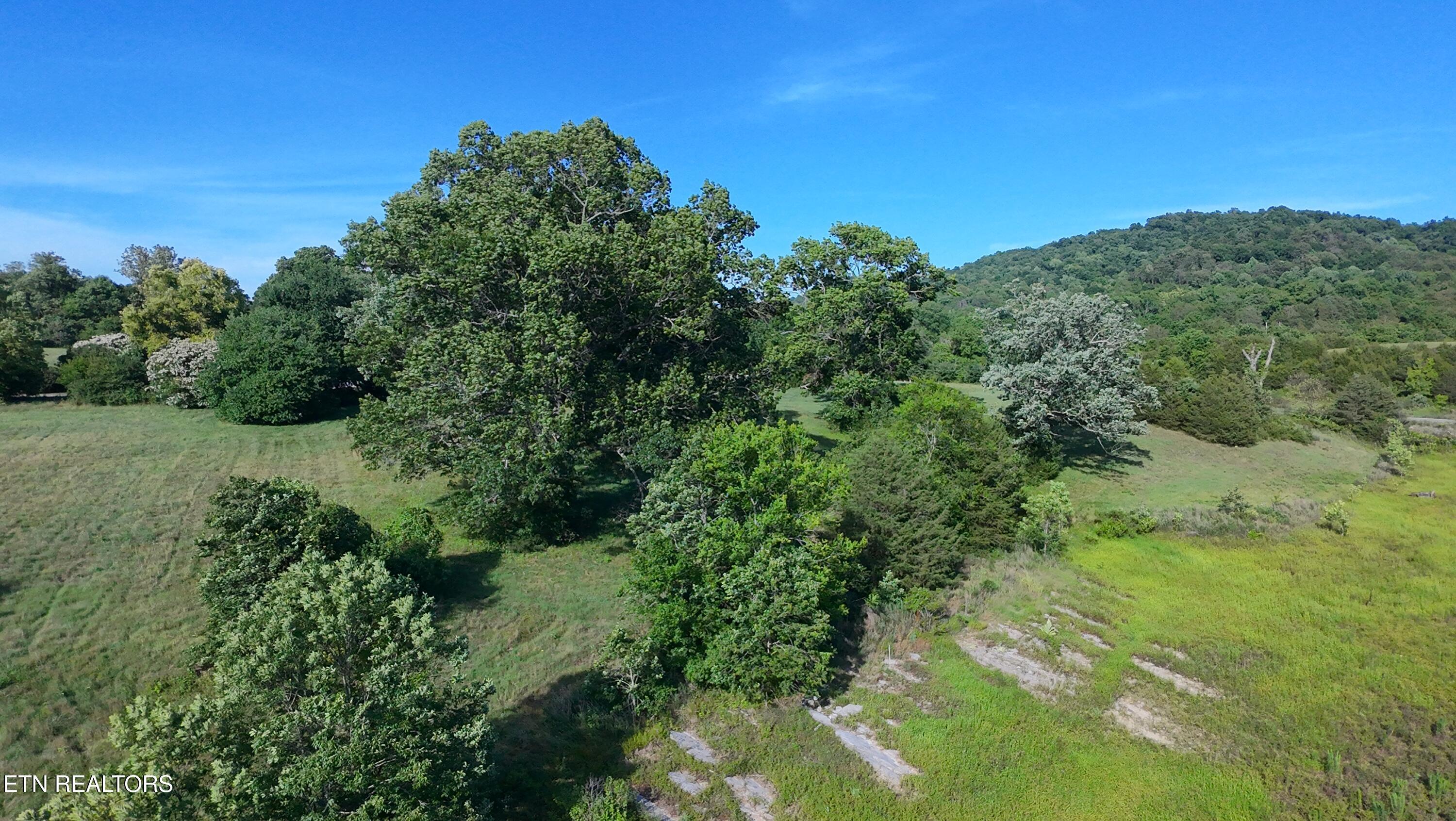 Big Valley Rd, Sharps Chapel, TN - Norris Lake Real Estate - Image# 2