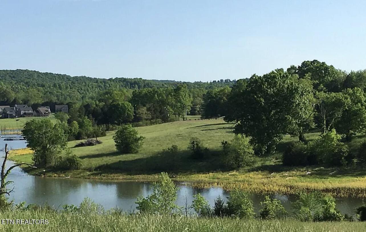 Big Valley Rd, Sharps Chapel, TN - Norris Lake Real Estate - Image# 5