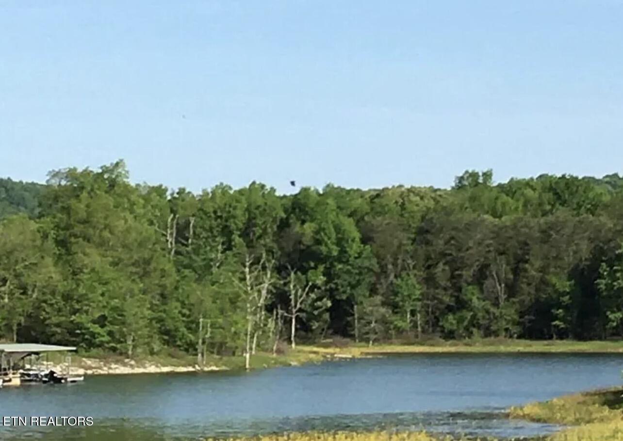 Big Valley Rd, Sharps Chapel, TN - Norris Lake Real Estate - Image# 6
