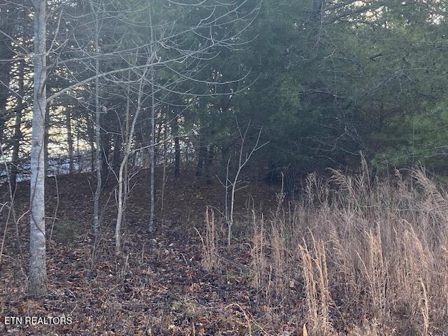 Norris Lake Real Estate - Image# 3