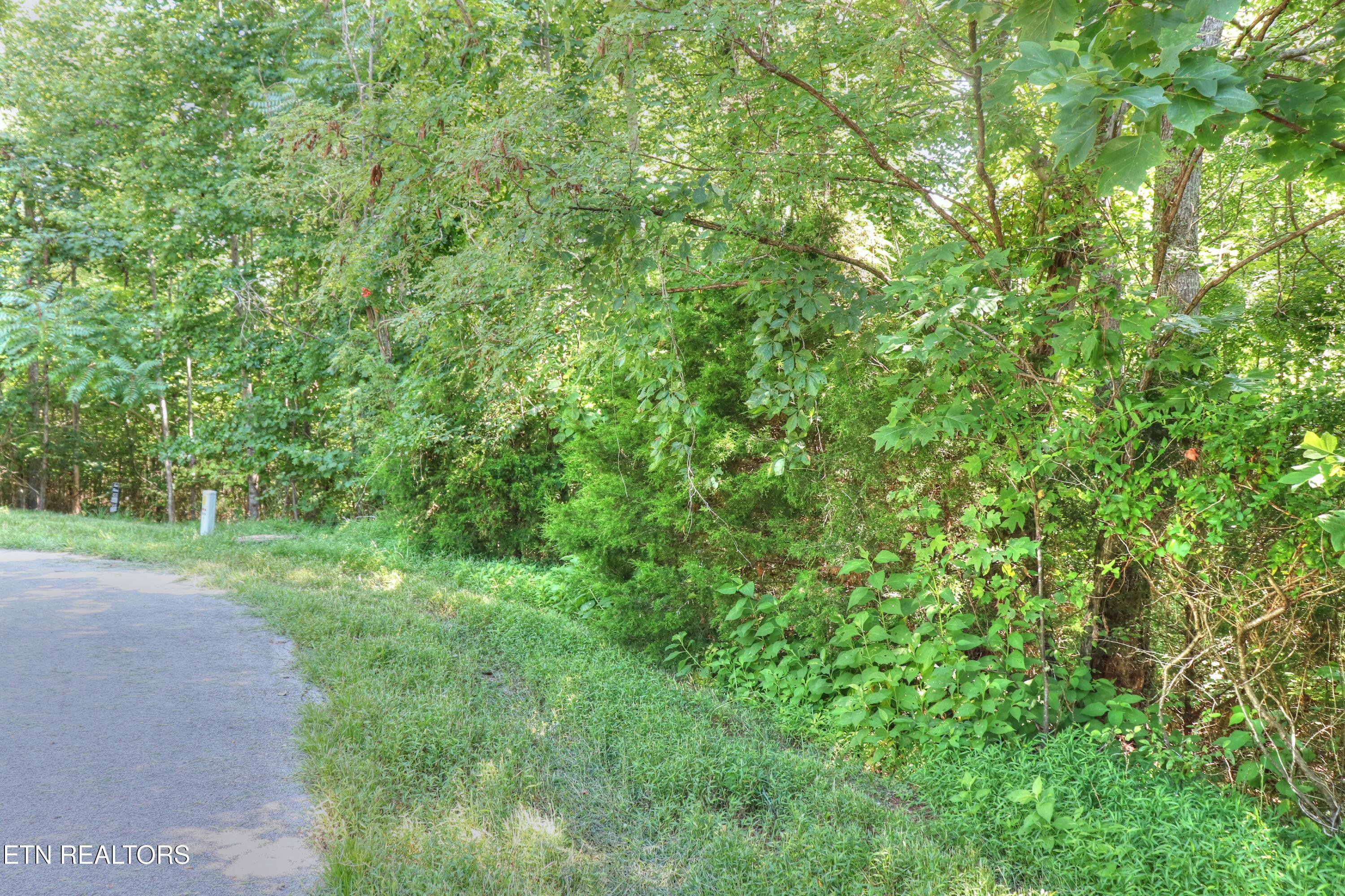 Lot 432 Beryl Court, New Tazewell, TN - Norris Lake Real Estate - Image# 2