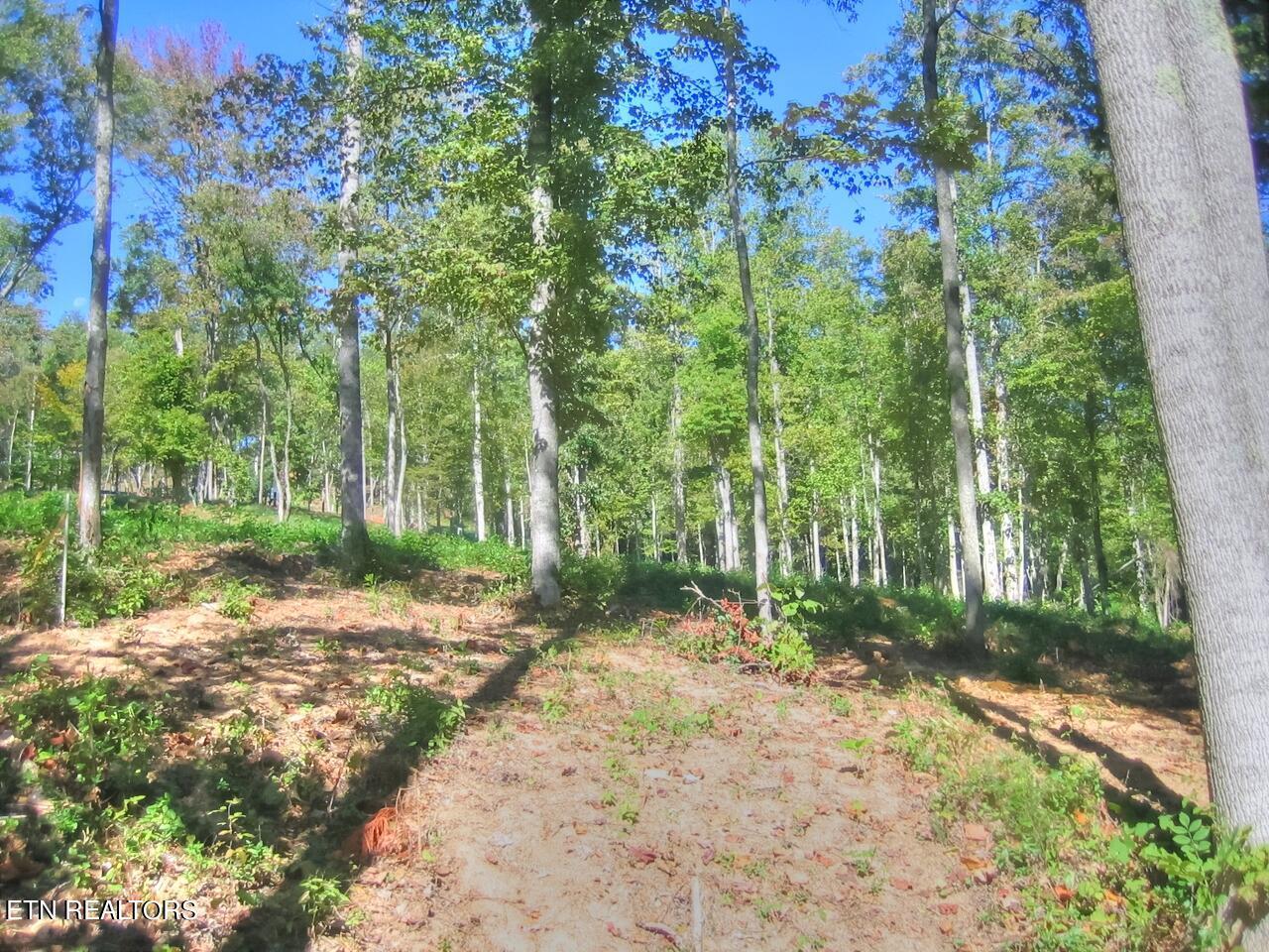 Lot 432 Beryl Court, New Tazewell, TN - Norris Lake Real Estate - Image# 4