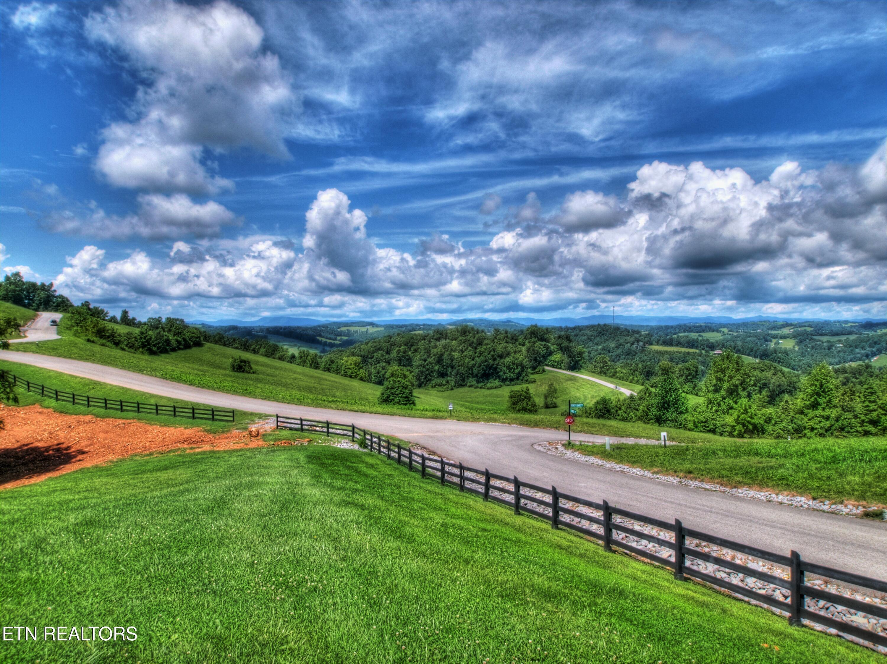 Lot 432 Beryl Court, New Tazewell, TN - Norris Lake Real Estate - Image# 11