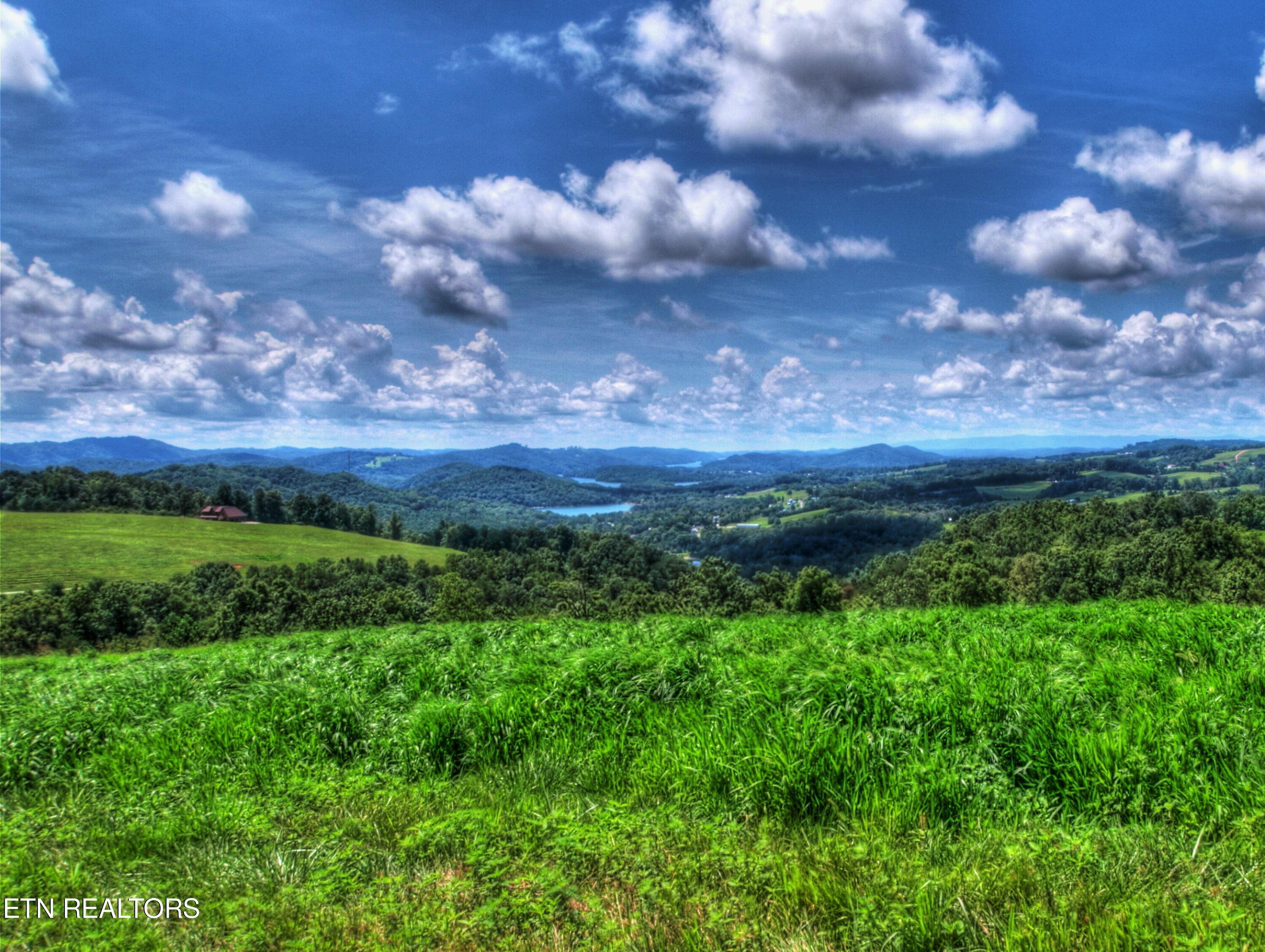 Lot 432 Beryl Court, New Tazewell, TN - Norris Lake Real Estate - Image# 13