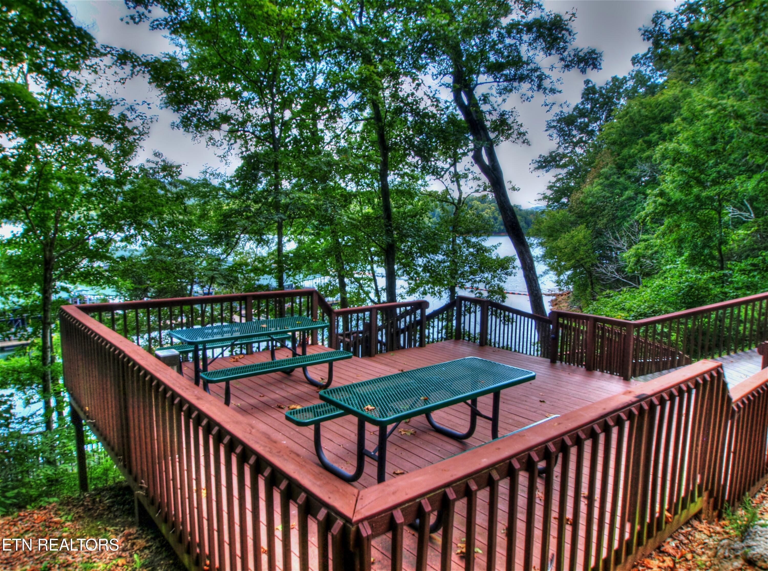Lot 432 Beryl Court, New Tazewell, TN - Norris Lake Real Estate - Image# 16